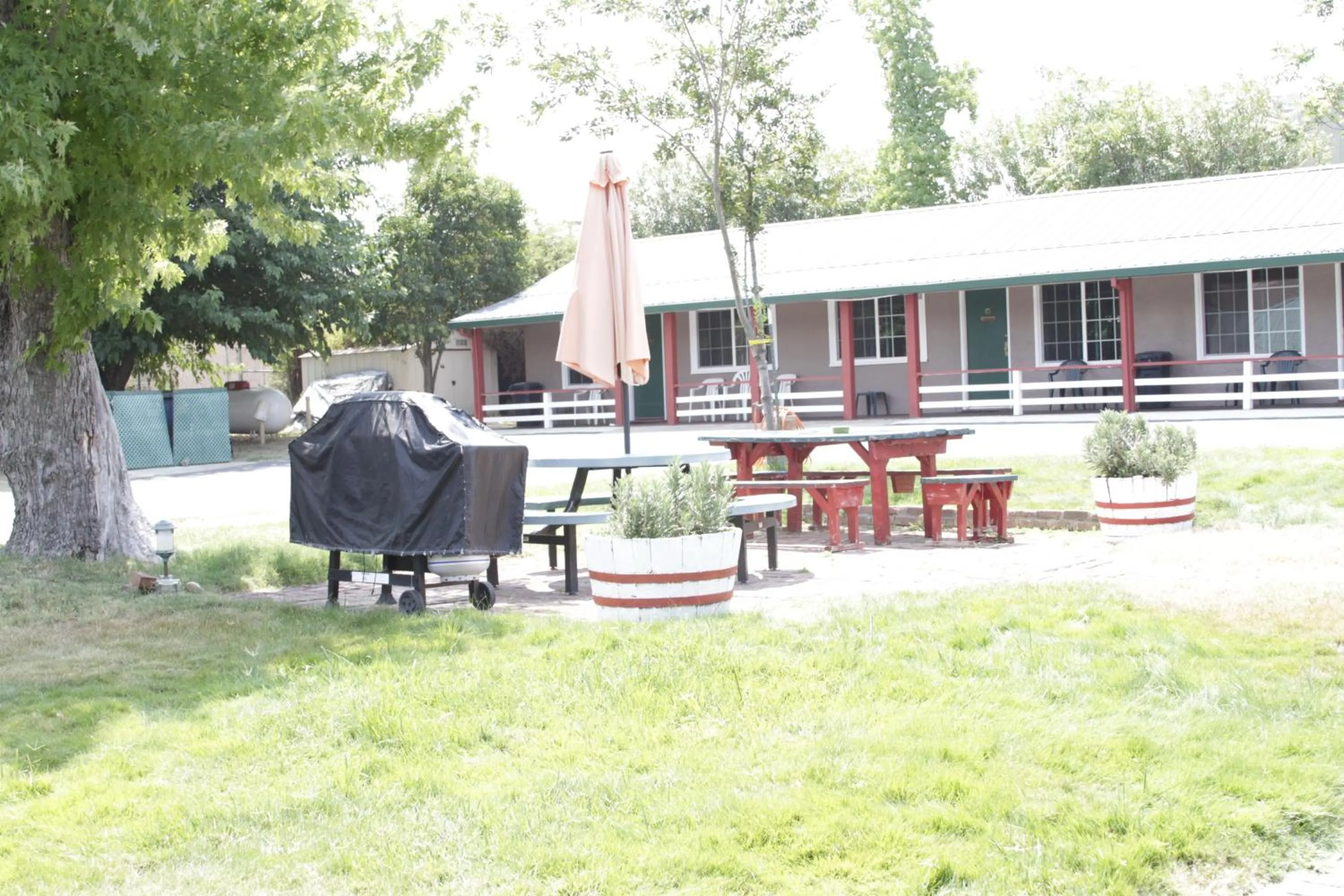 Garden view in Jumping Frog Motel