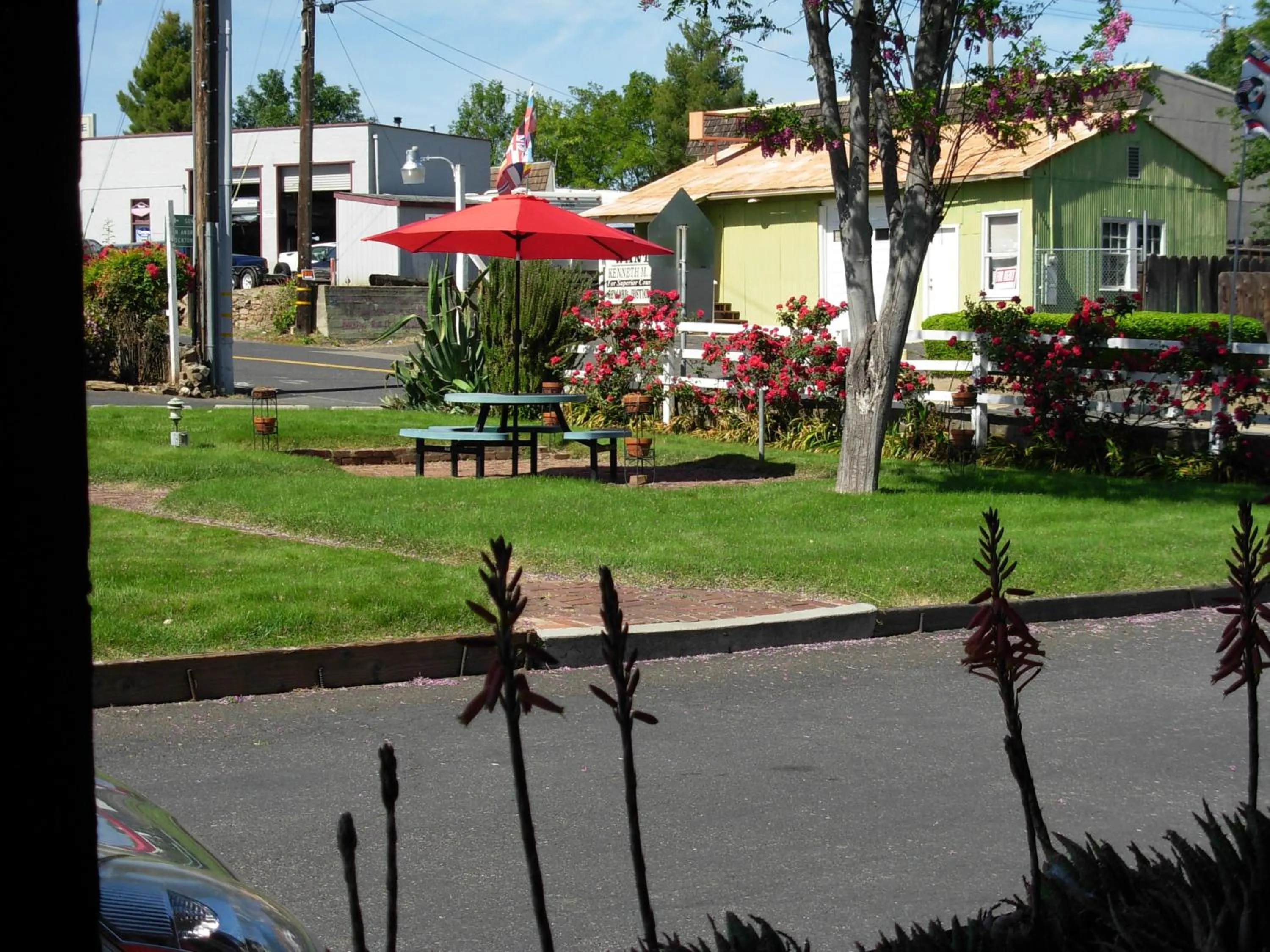 Natural landscape in Jumping Frog Motel