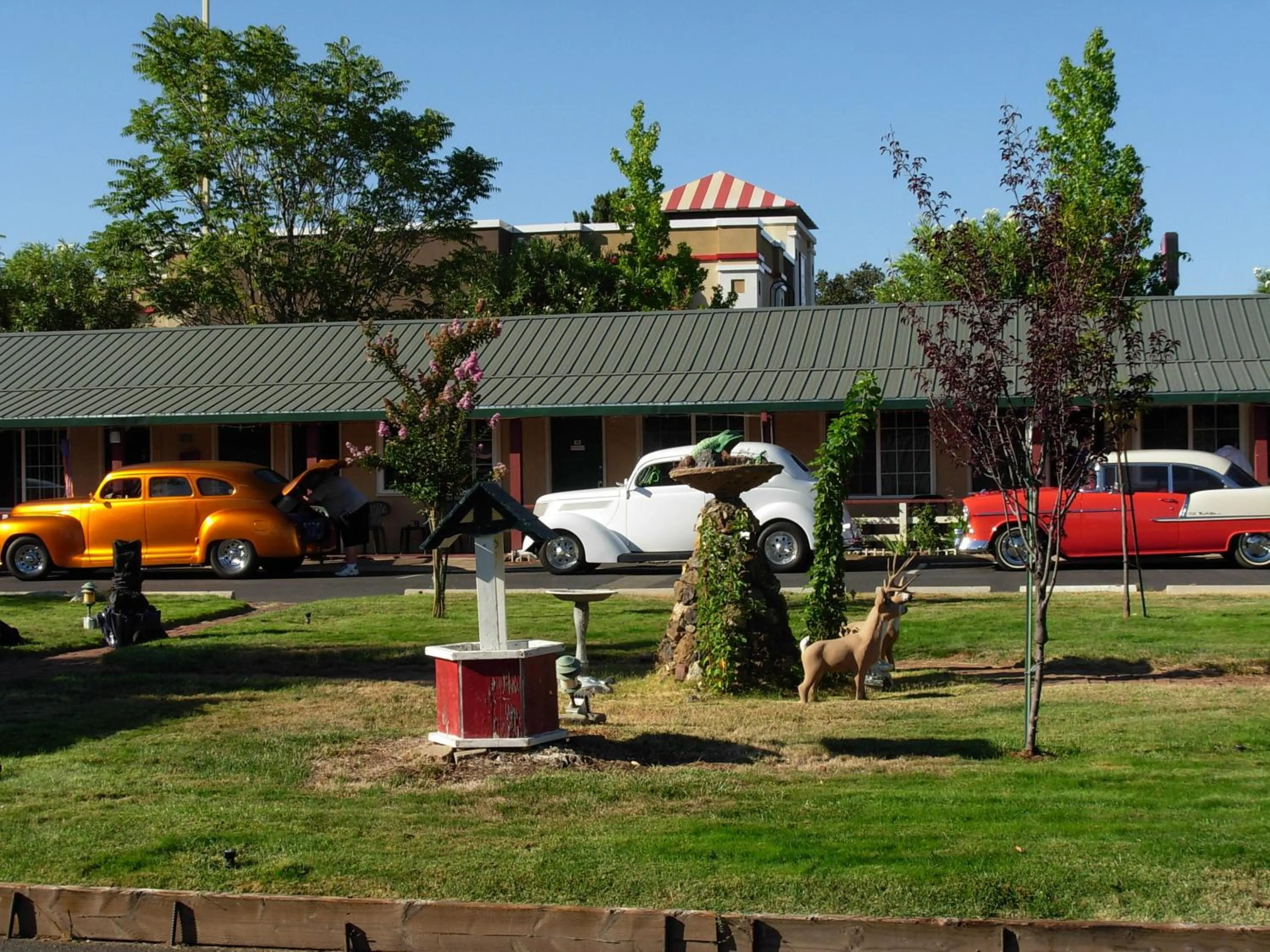 Natural landscape in Jumping Frog Motel
