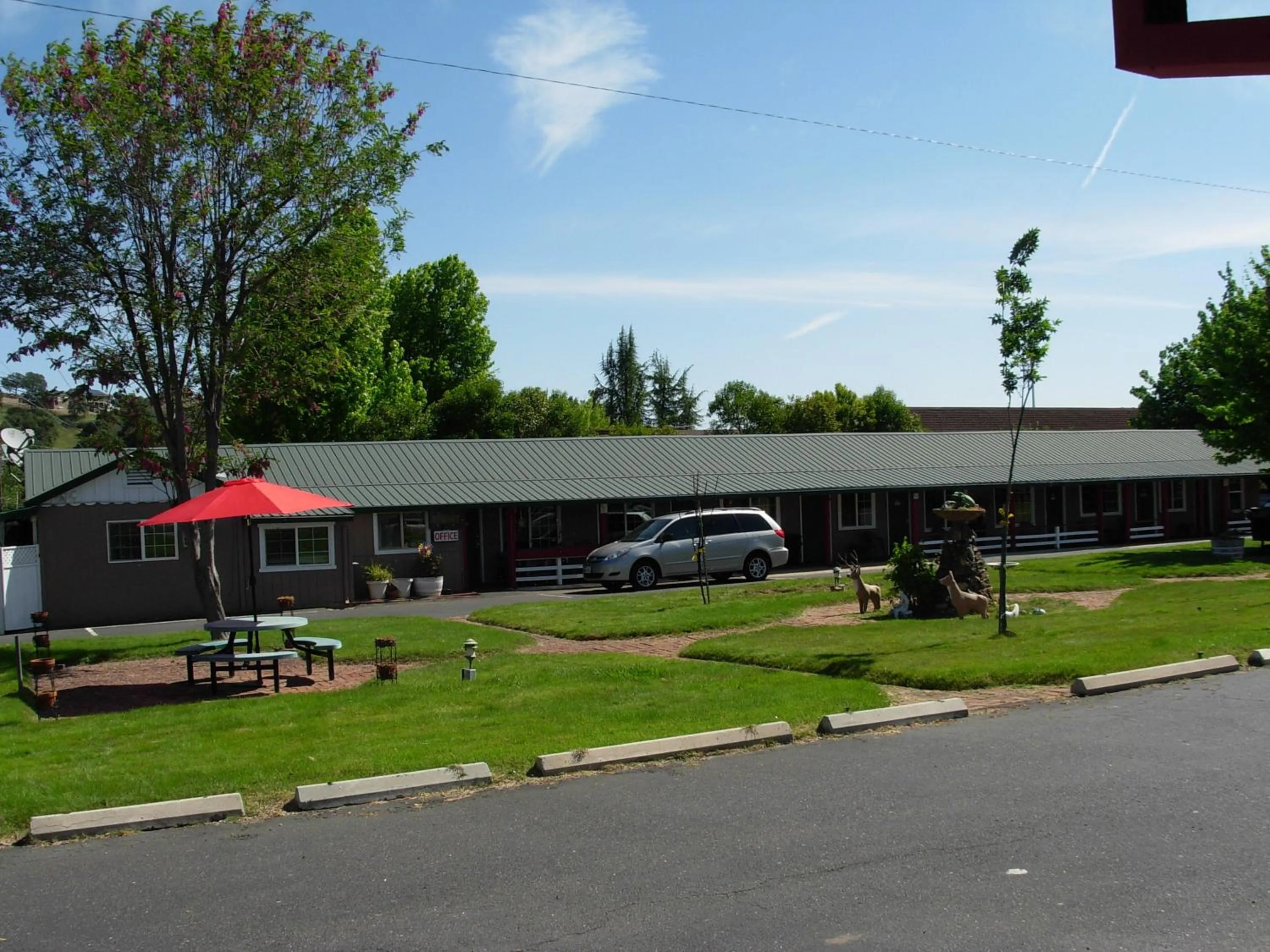 Garden view in Jumping Frog Motel