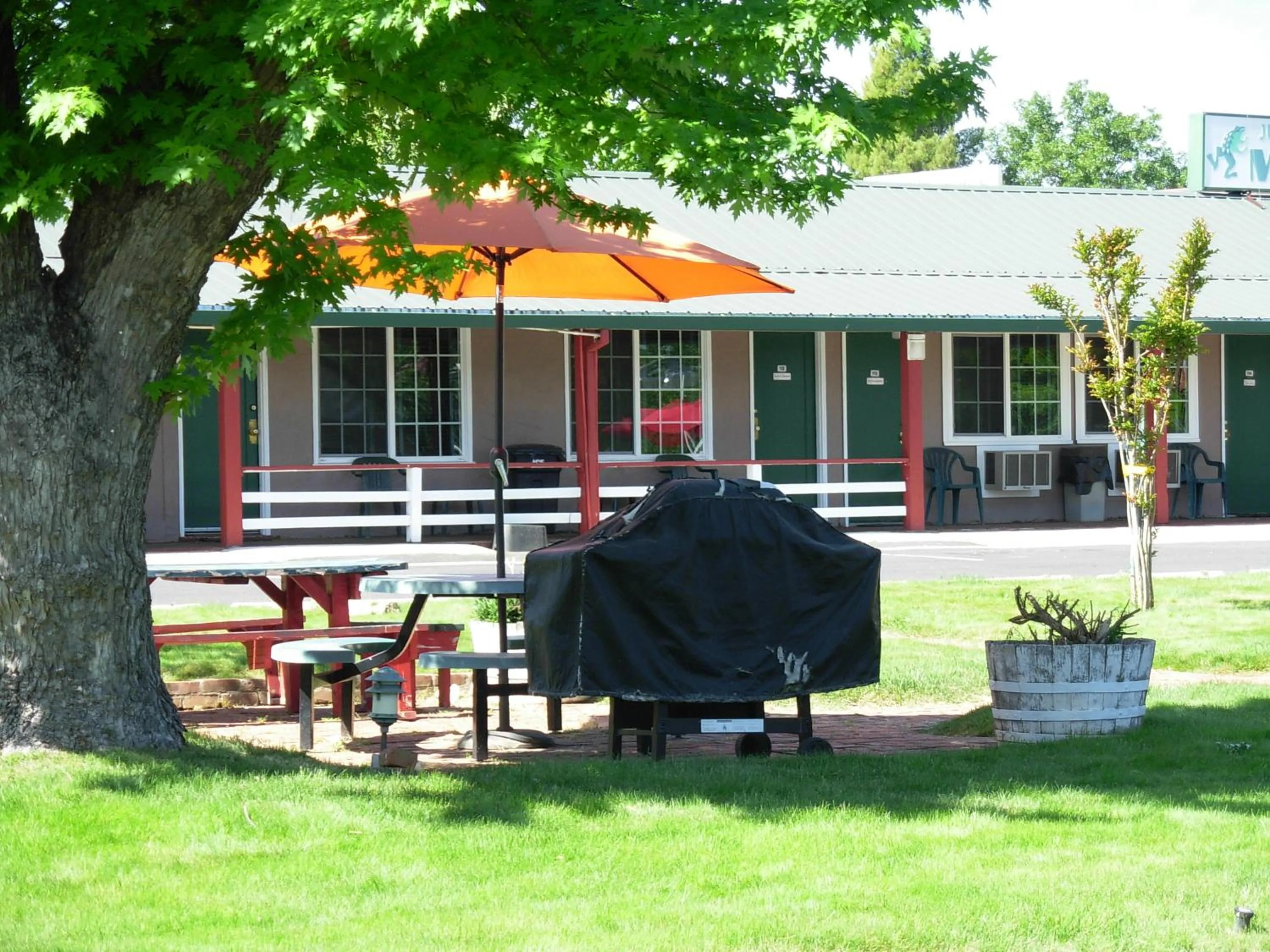 Garden view in Jumping Frog Motel
