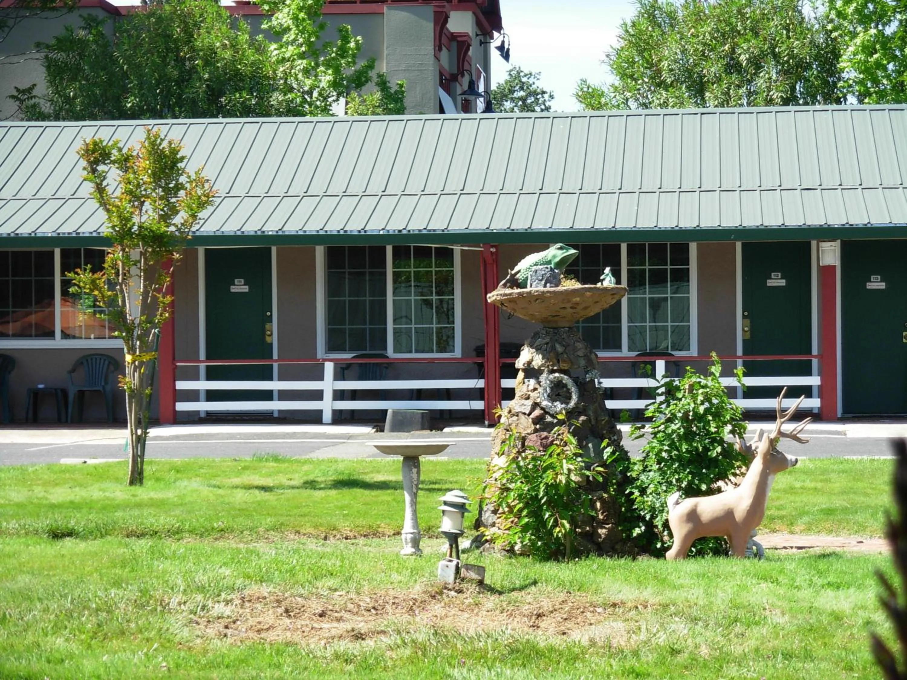 Garden view in Jumping Frog Motel