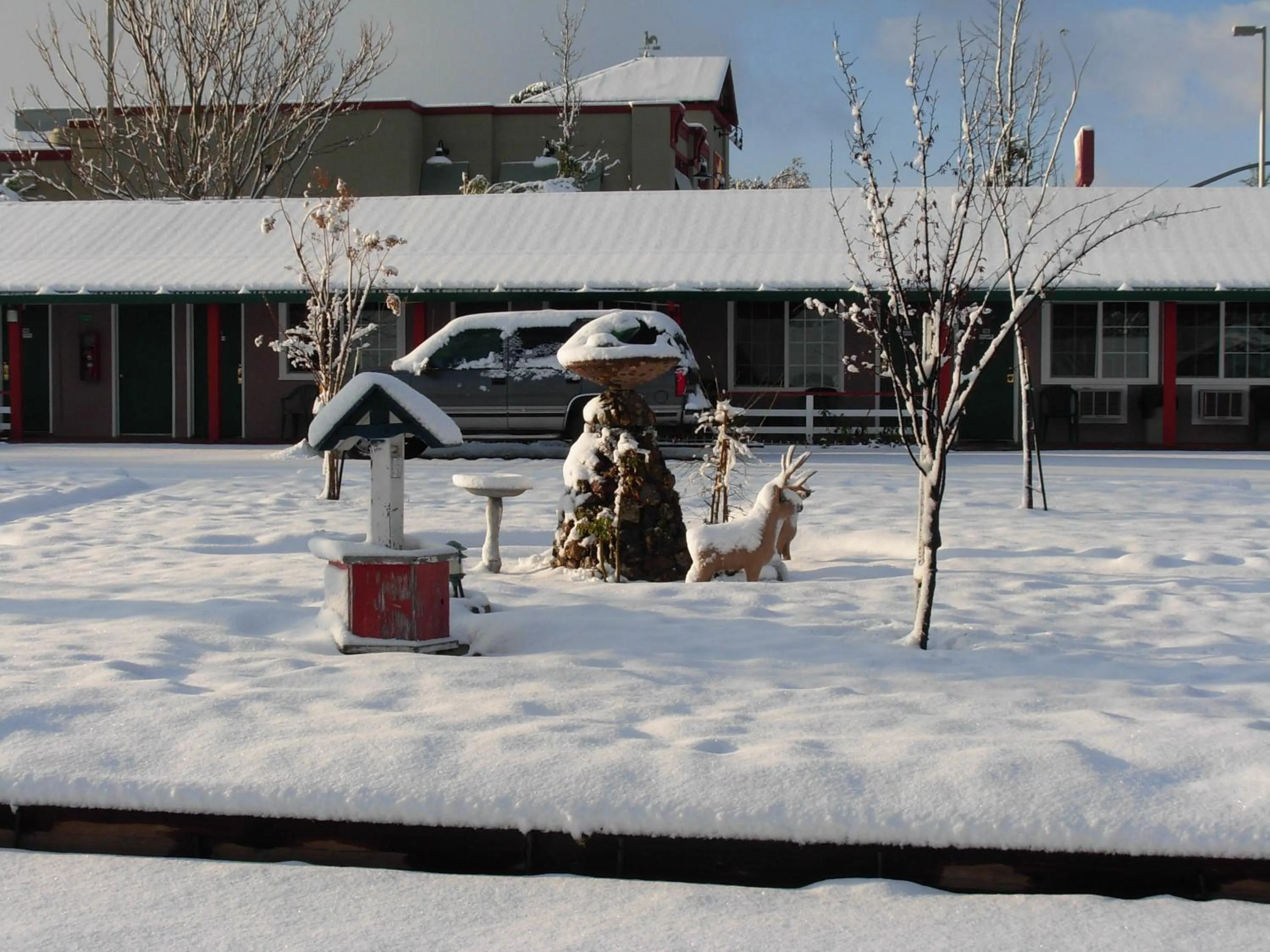 Winter in Jumping Frog Motel