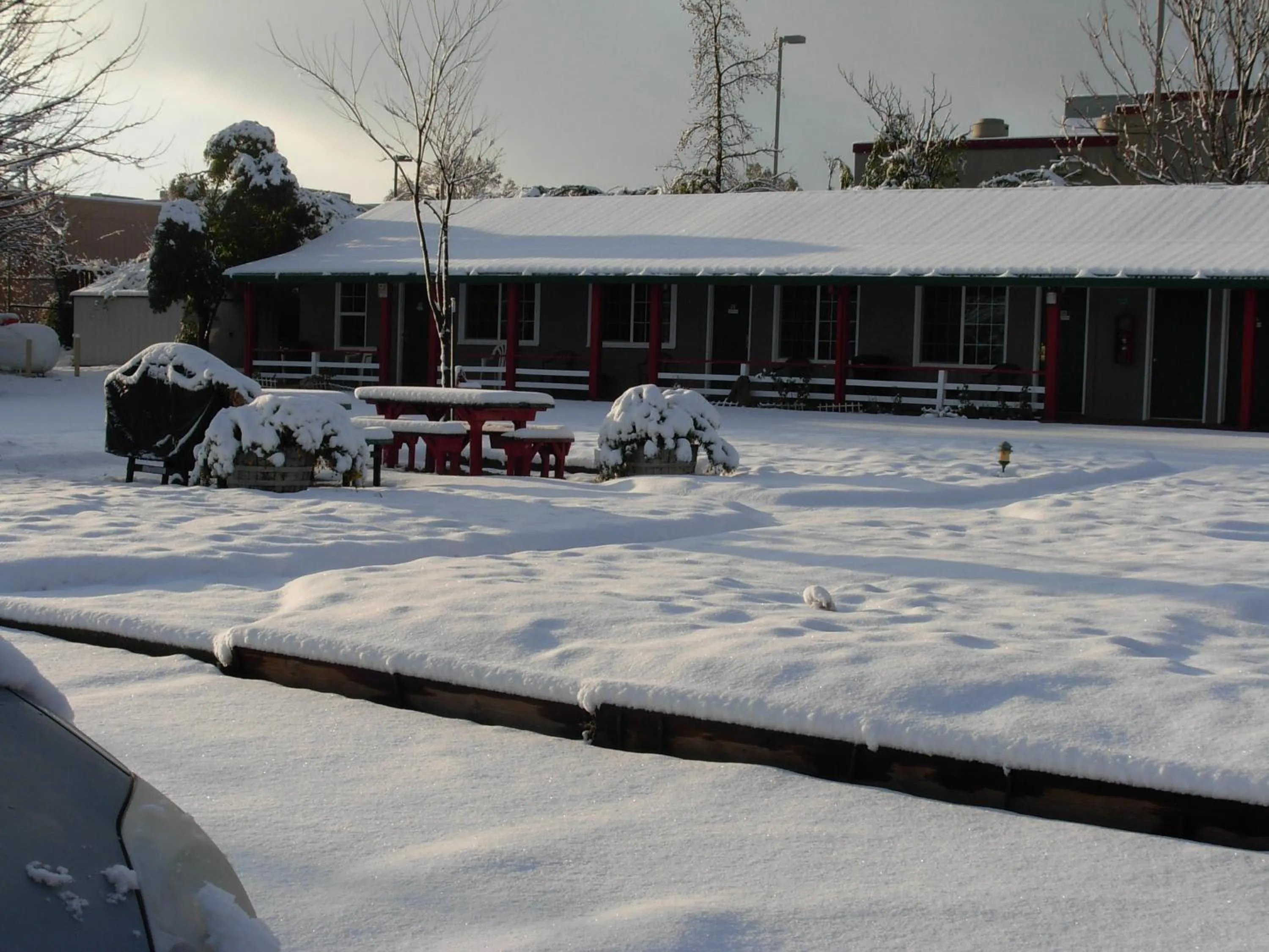 Day in Jumping Frog Motel