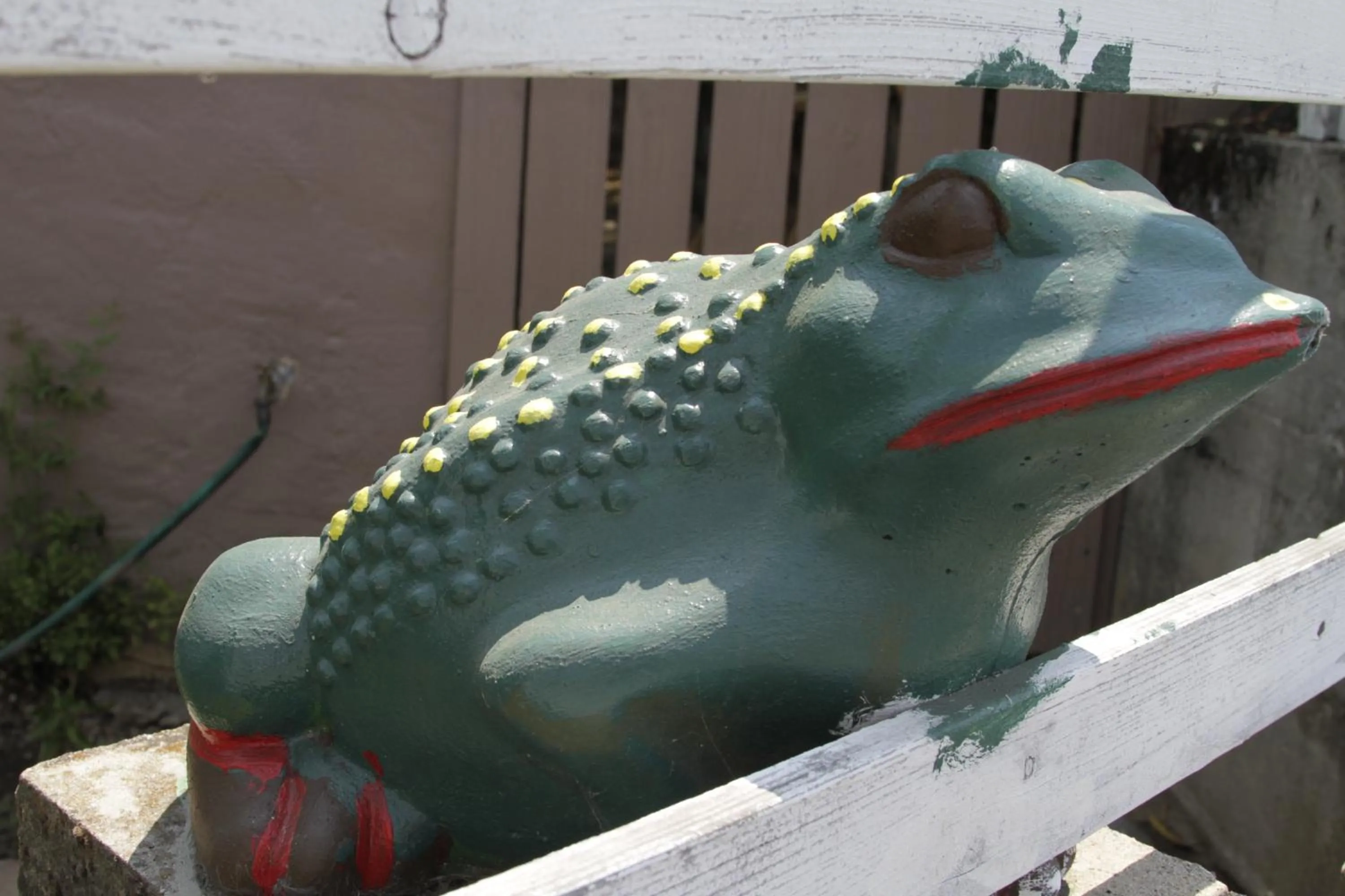 Nearby landmark in Jumping Frog Motel