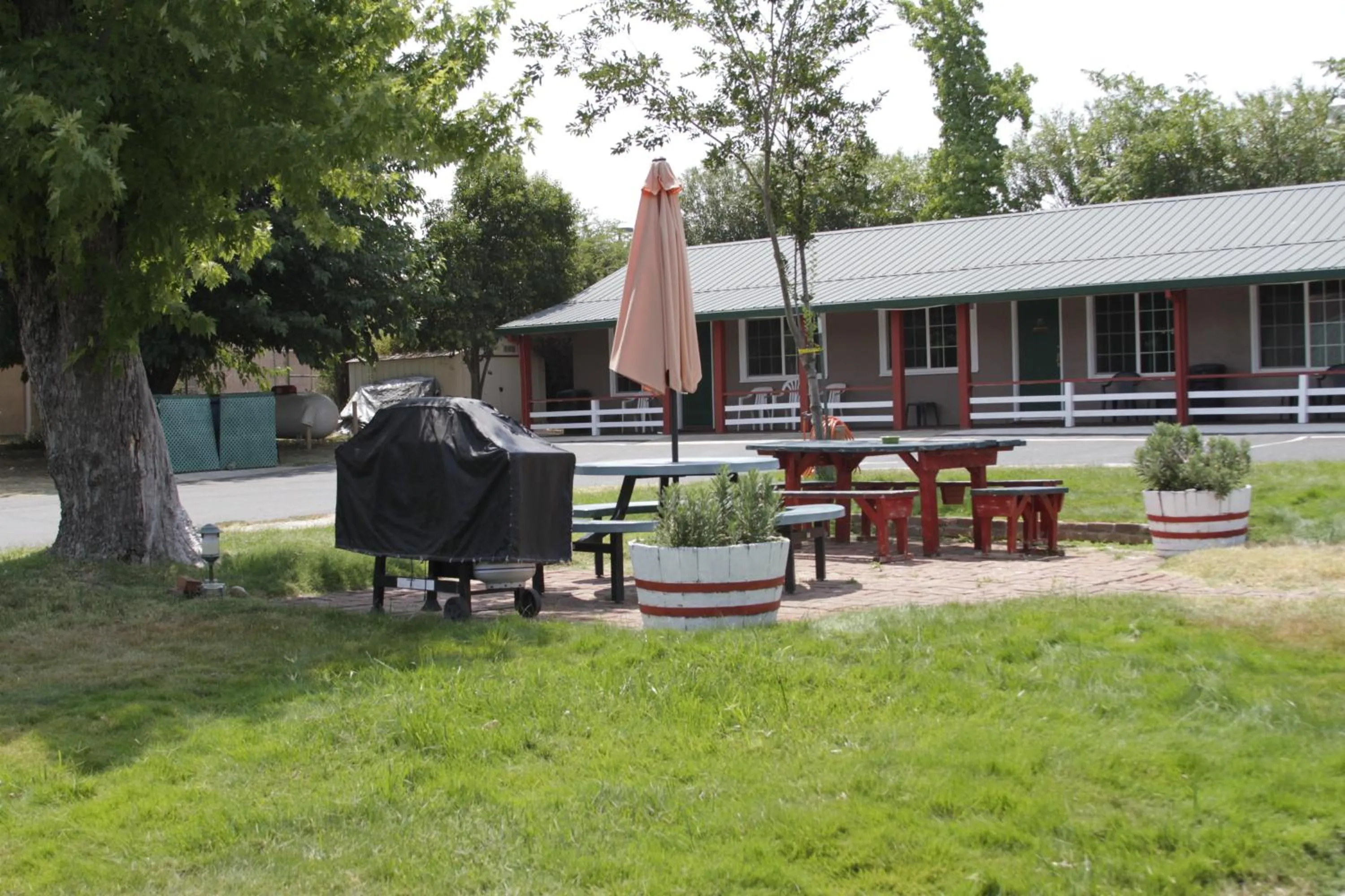 Garden view in Jumping Frog Motel