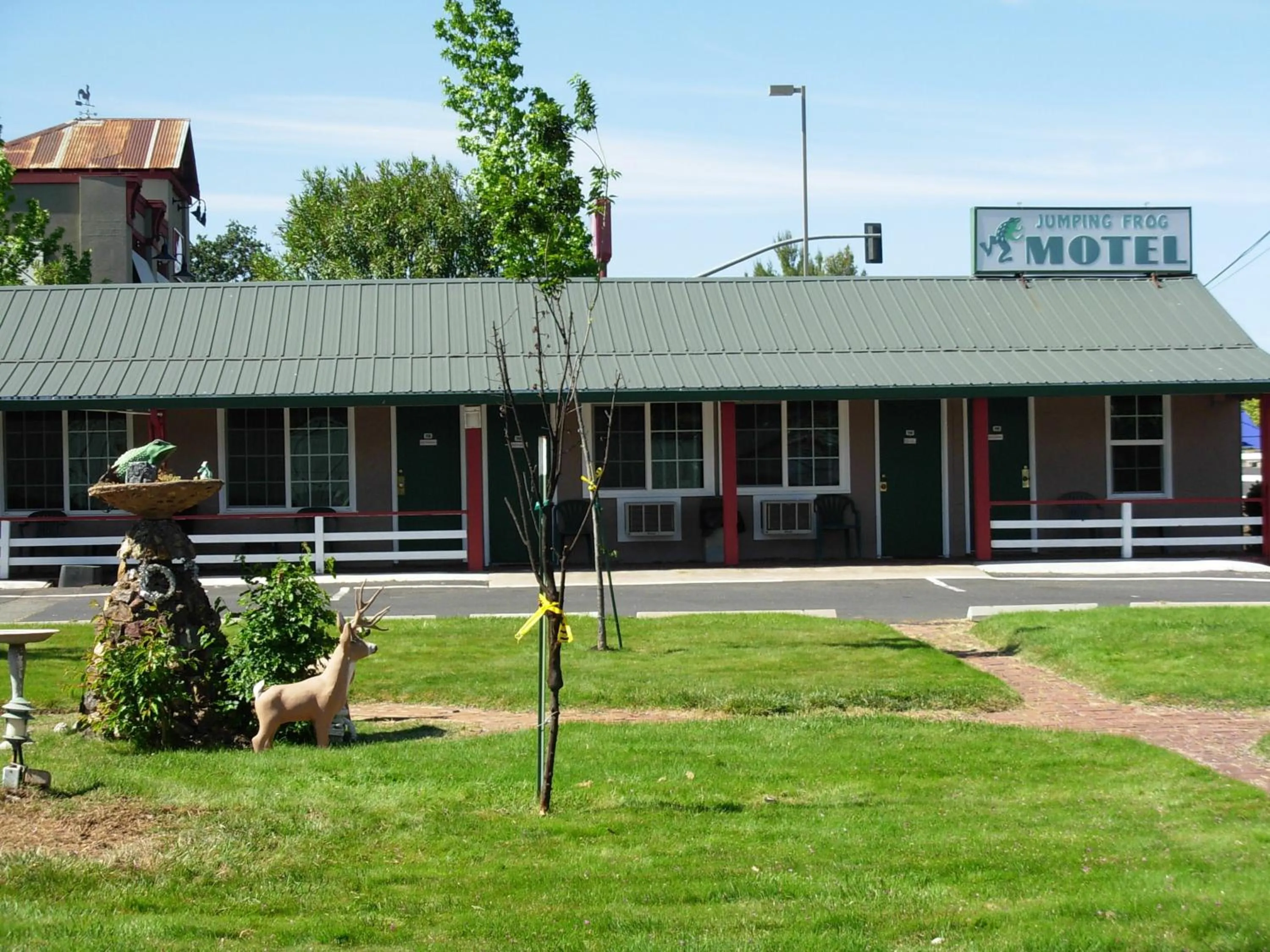 Garden view in Jumping Frog Motel