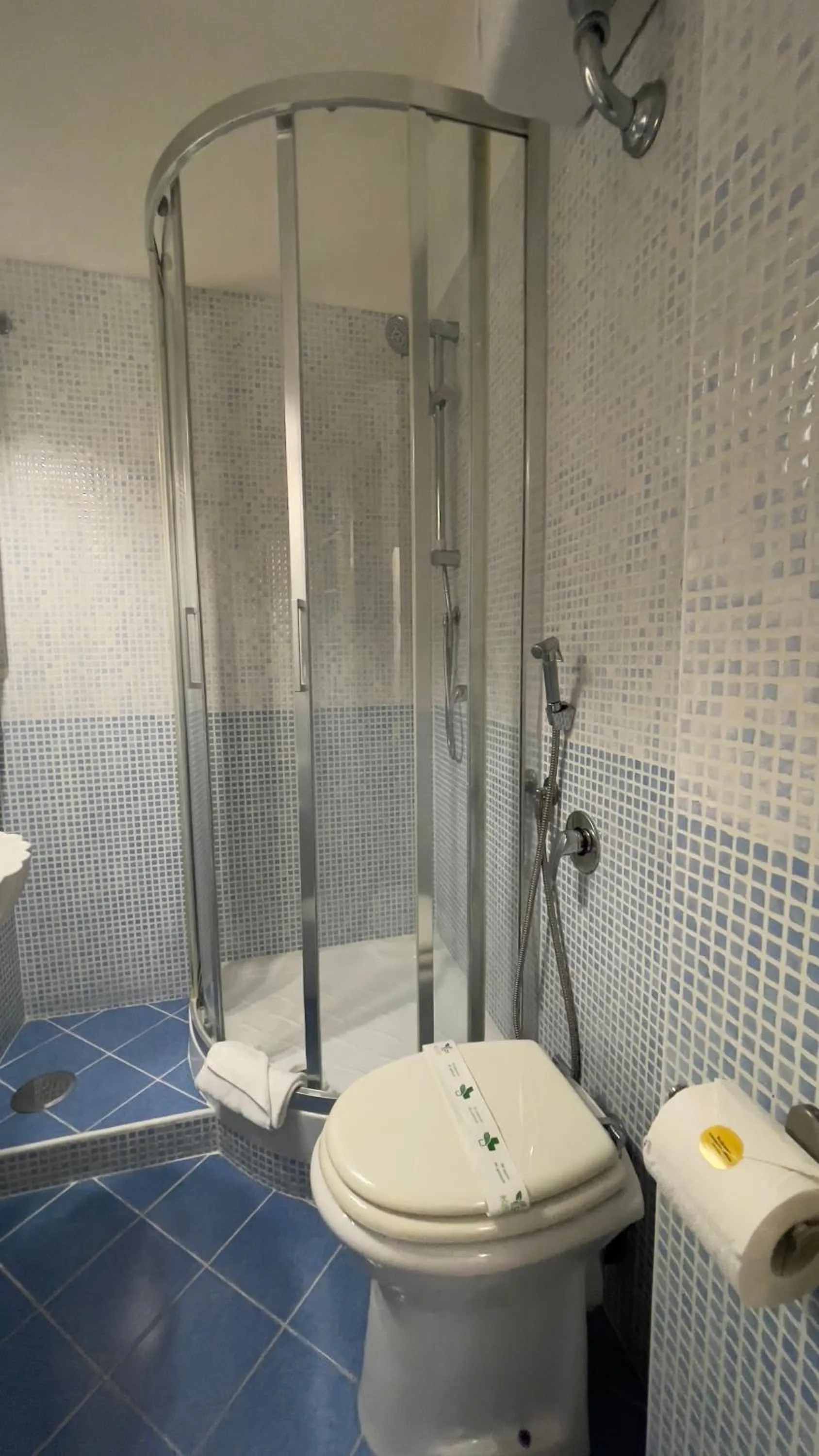 Shower in Suitedream Vatican