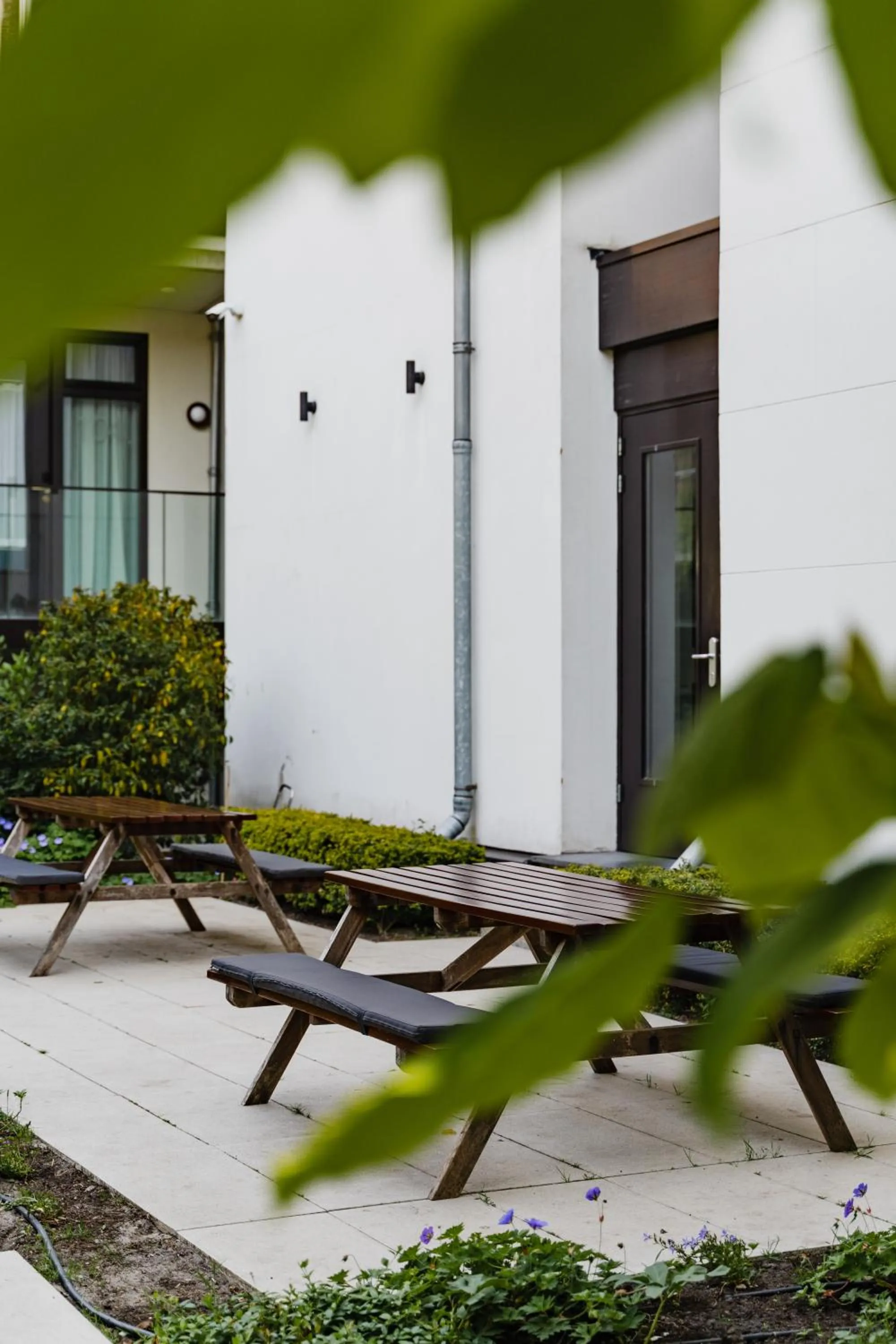 Day in Hotel Mercier