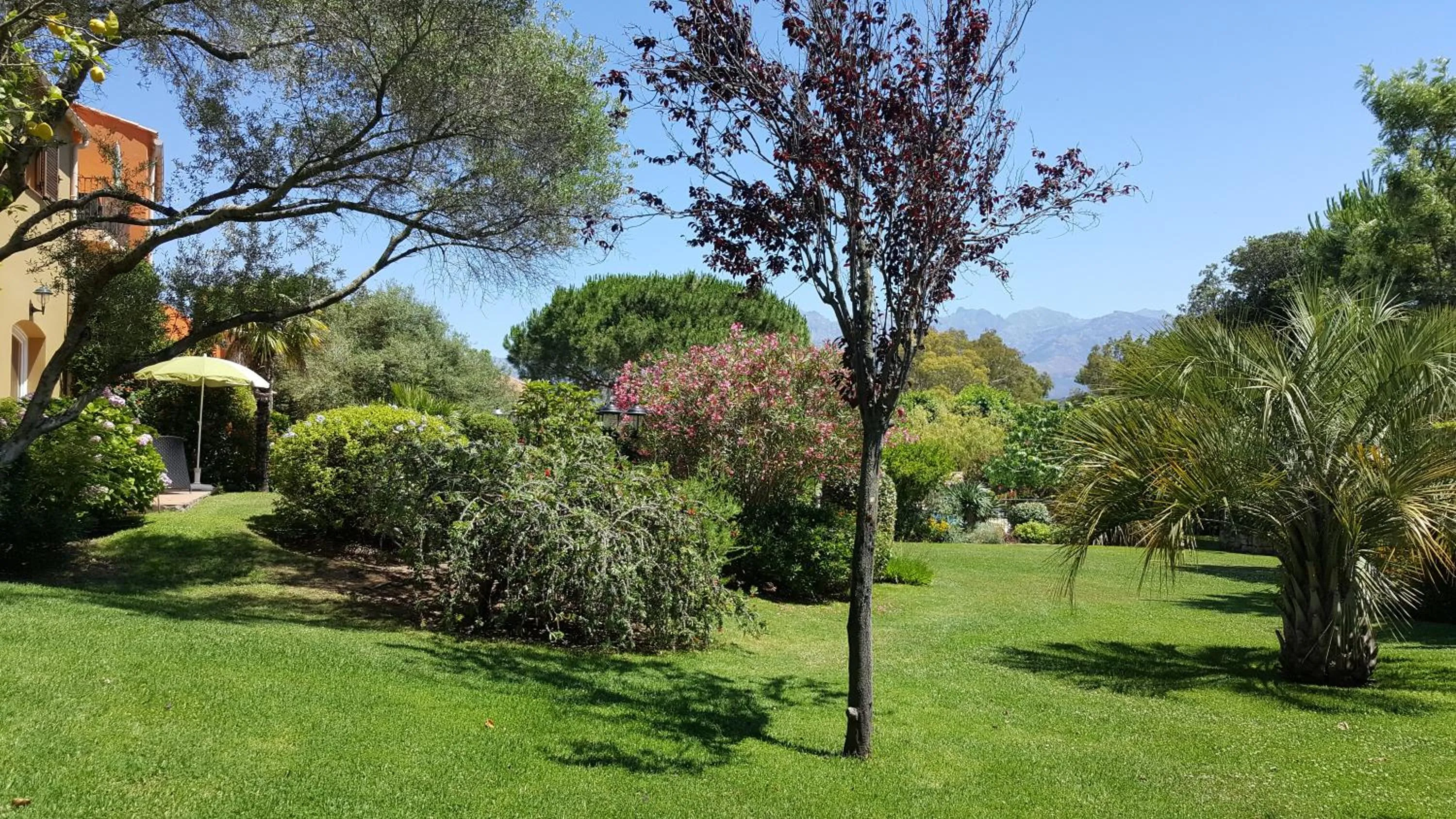 Garden in Résidence A Merula