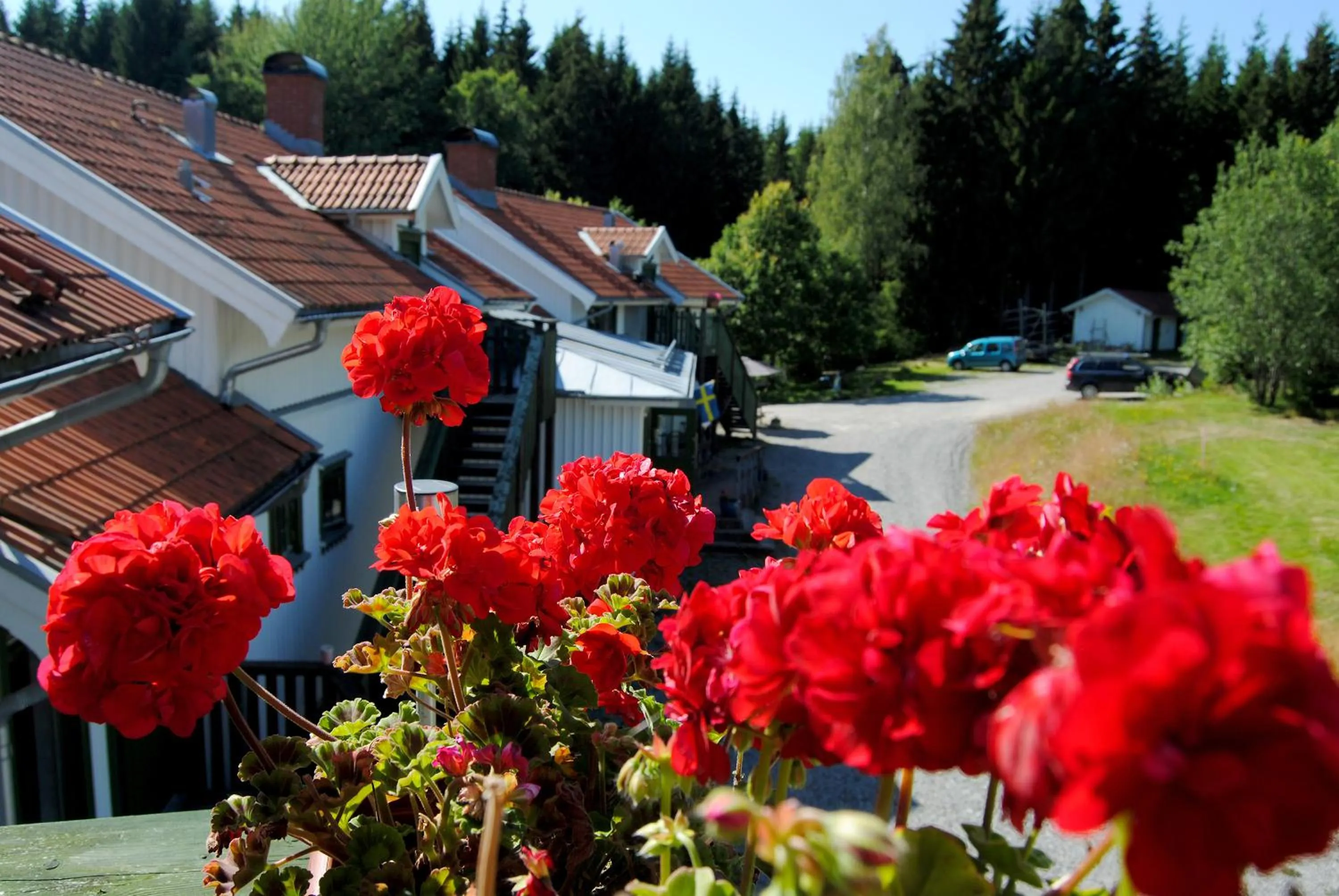 Facade/entrance in Tingvall B&B Eco-Lodge