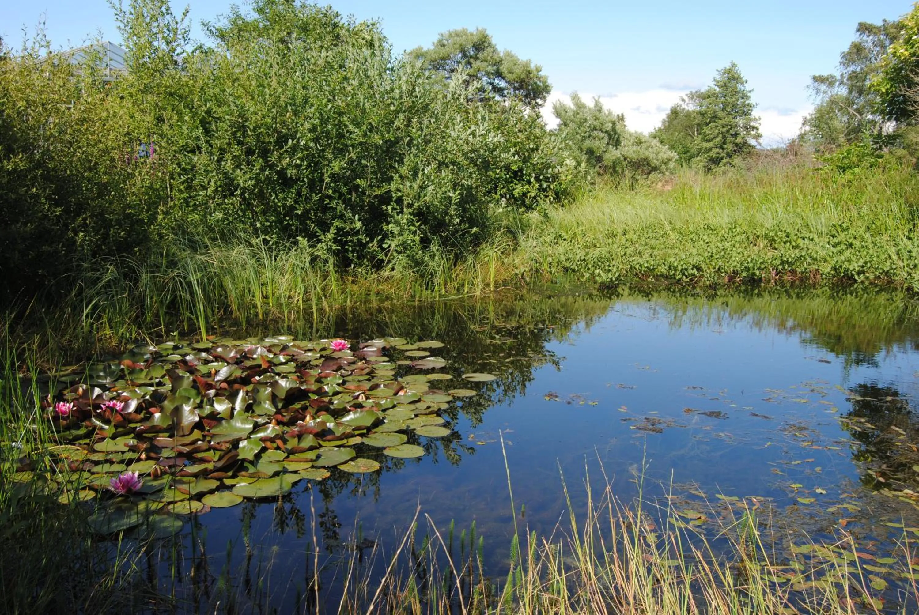 Nearby landmark in Tingvall B&B Eco-Lodge