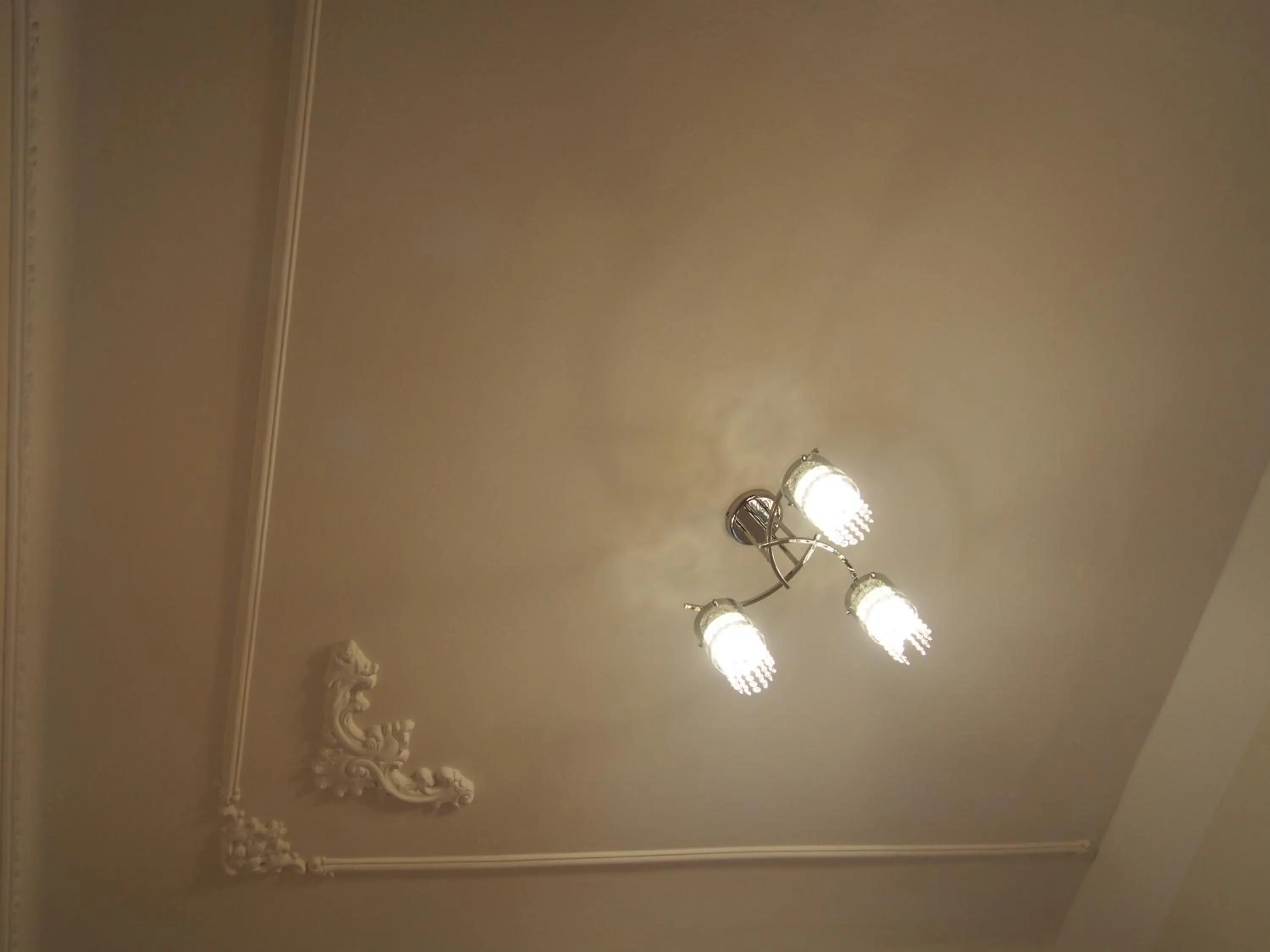 Decorative detail in Museum Inn