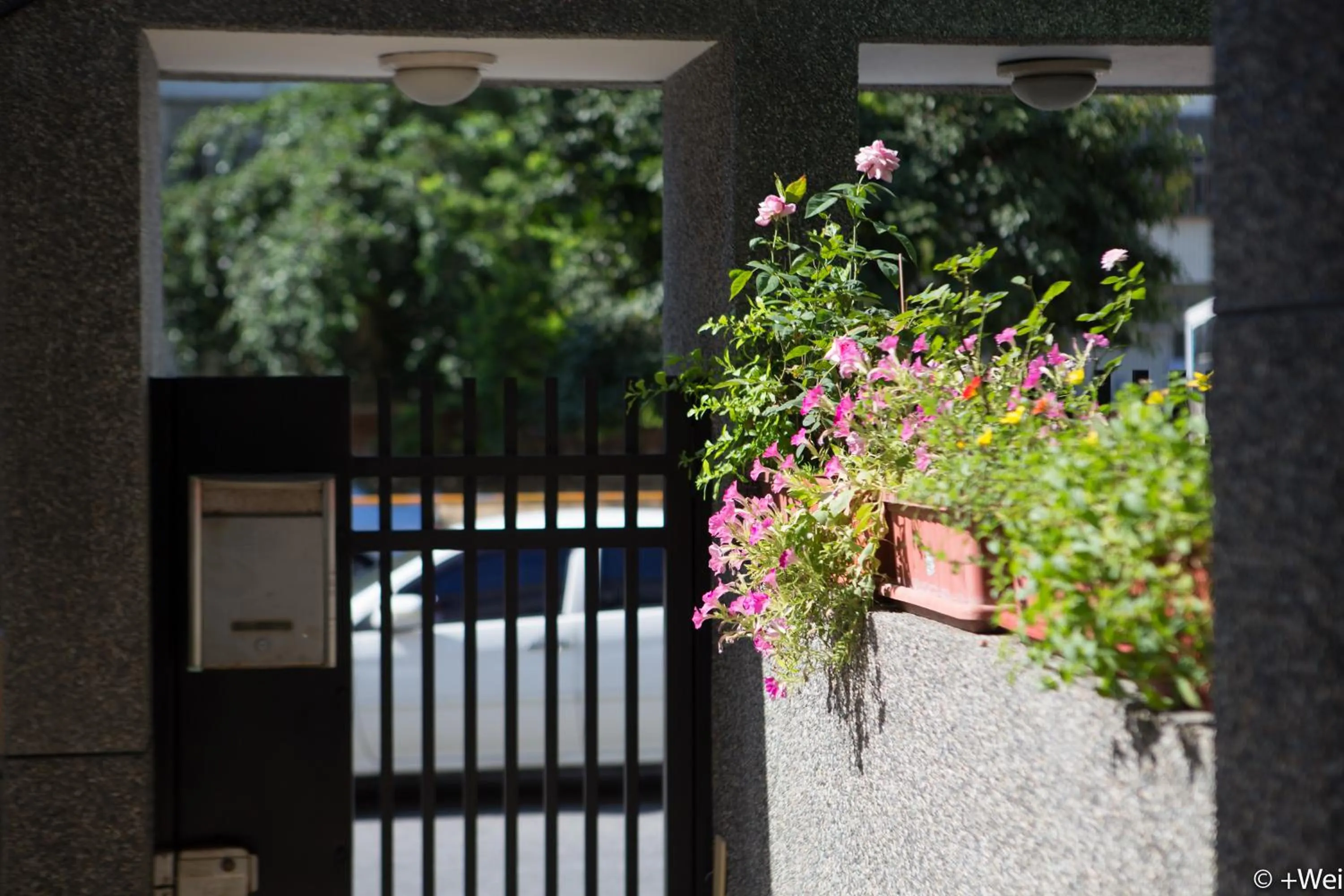 Facade/entrance in Shining Forest Hostel