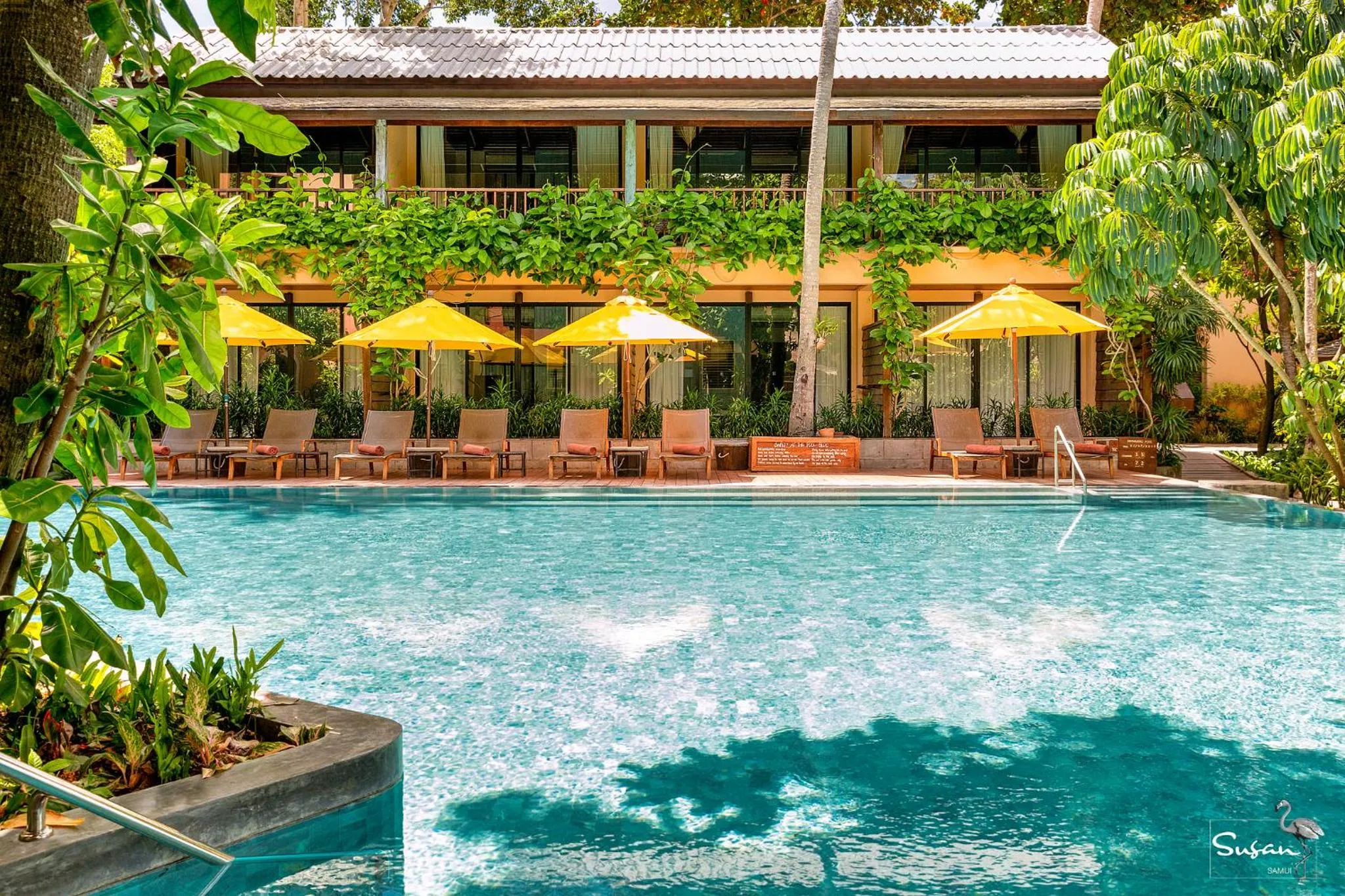 Day in Buri Rasa Village Phangan