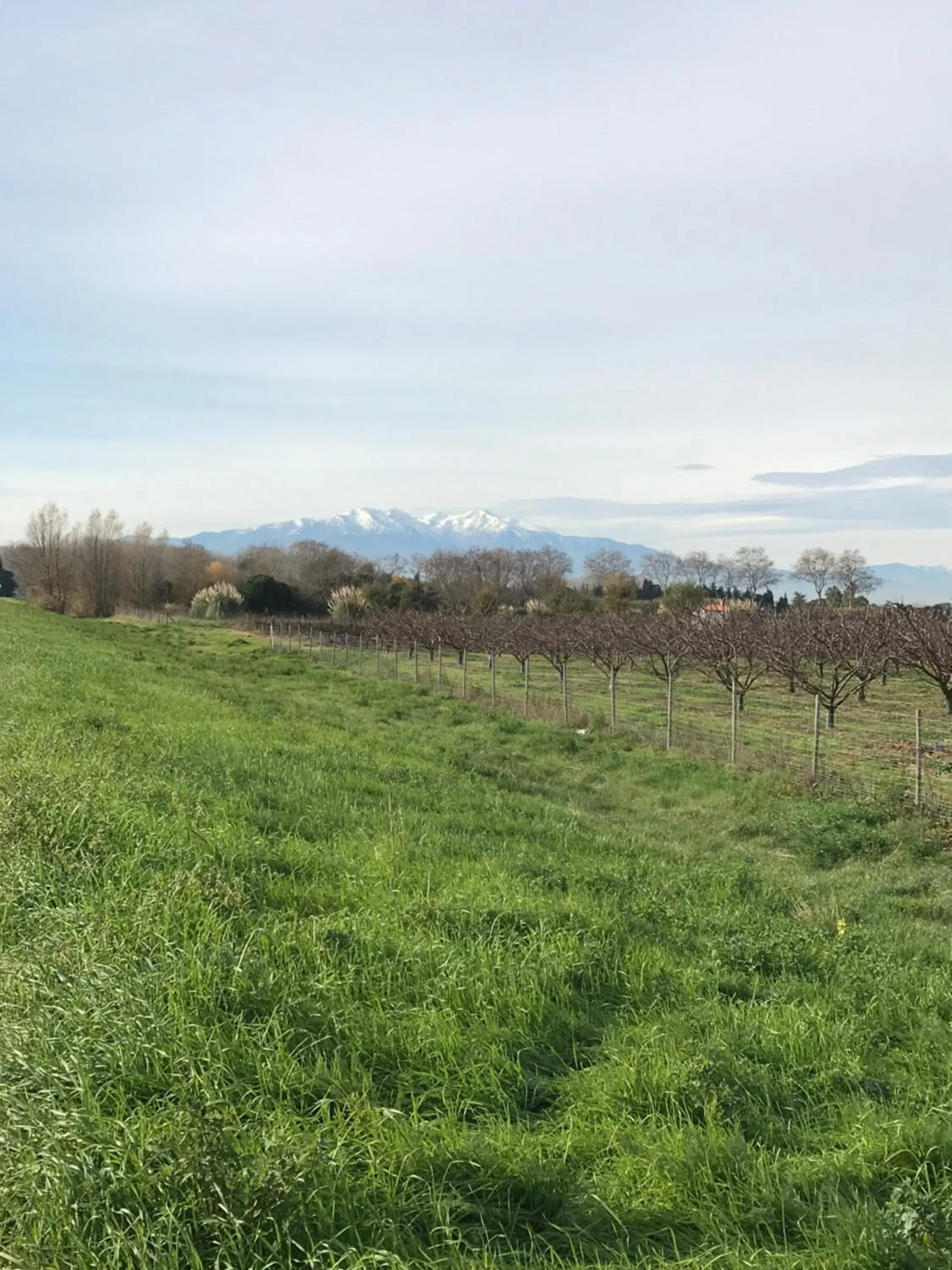 Natural landscape in Casa Mia