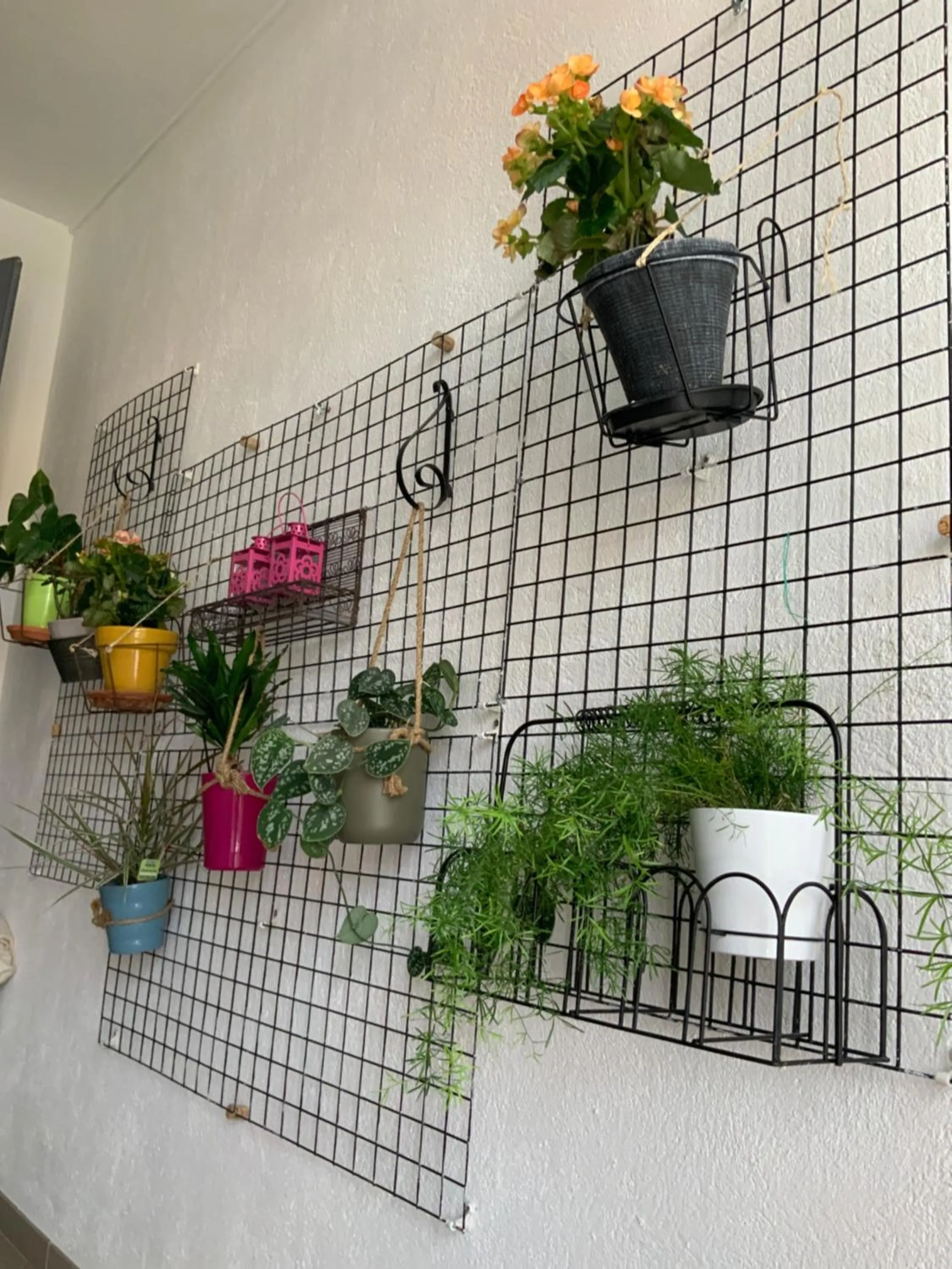 Balcony/Terrace in Casa Mia