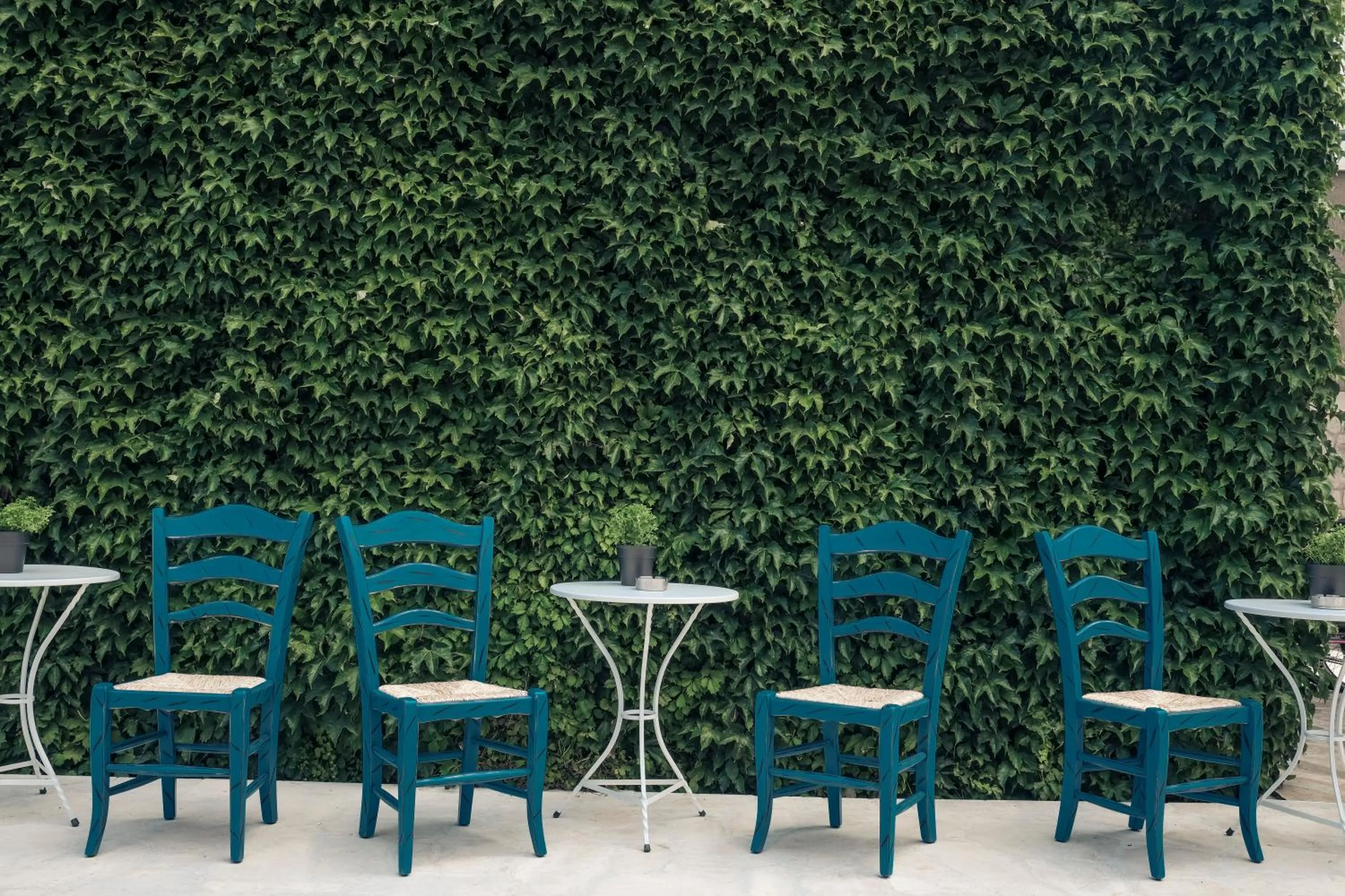 Garden in Royal Hotel and Suites