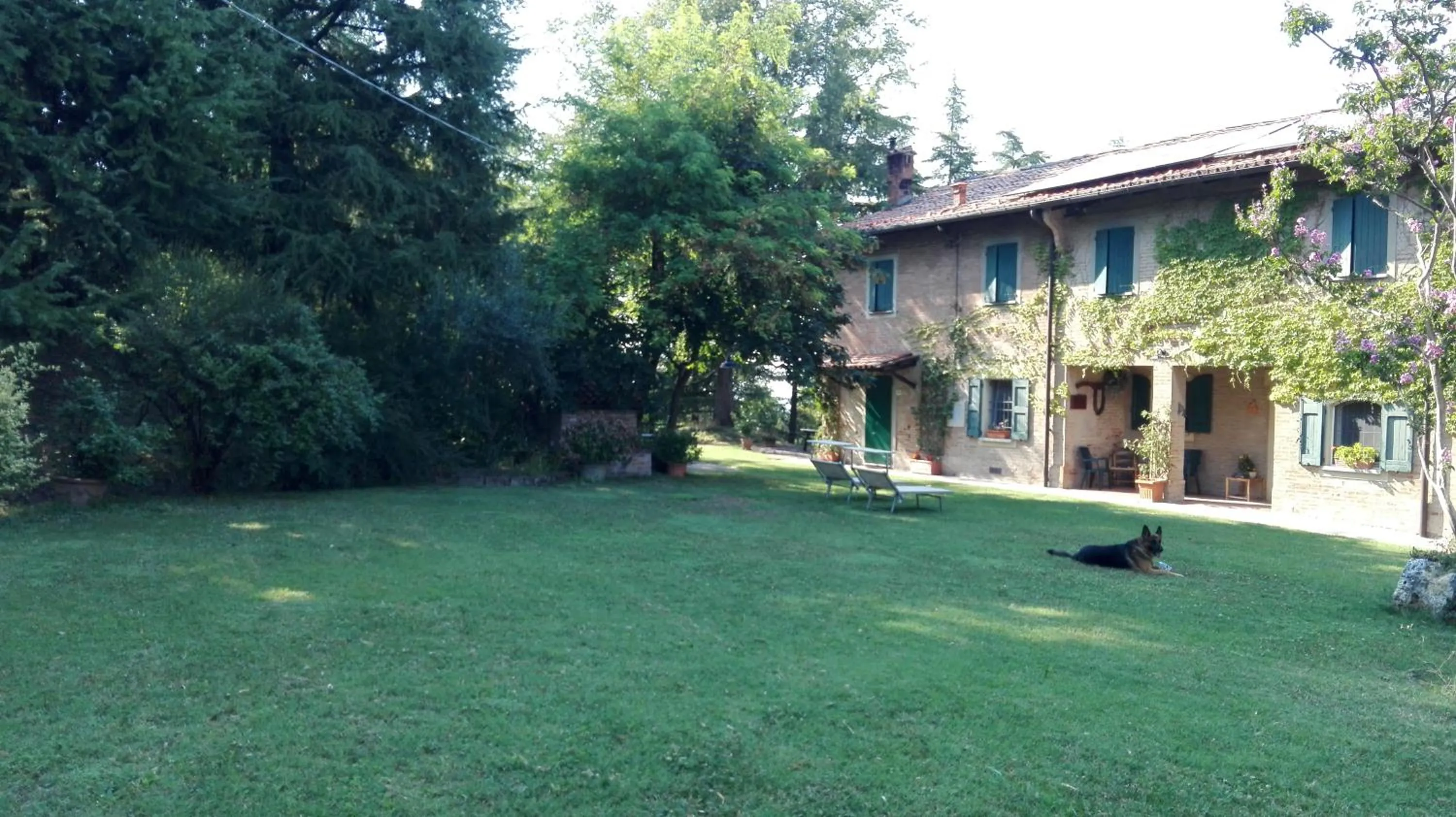 Garden in Casina Belvedere