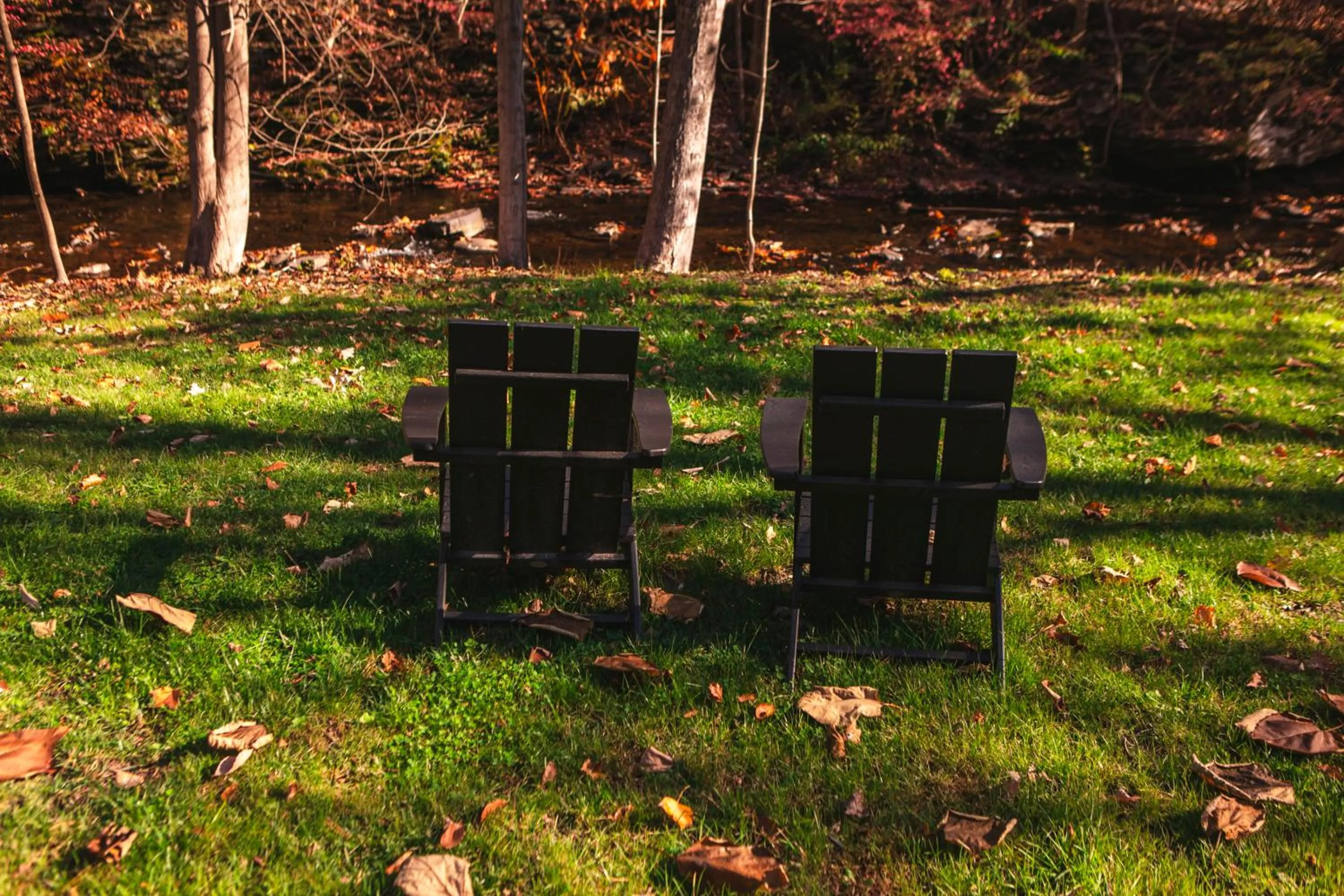 Garden in Woodstock Way Hotel