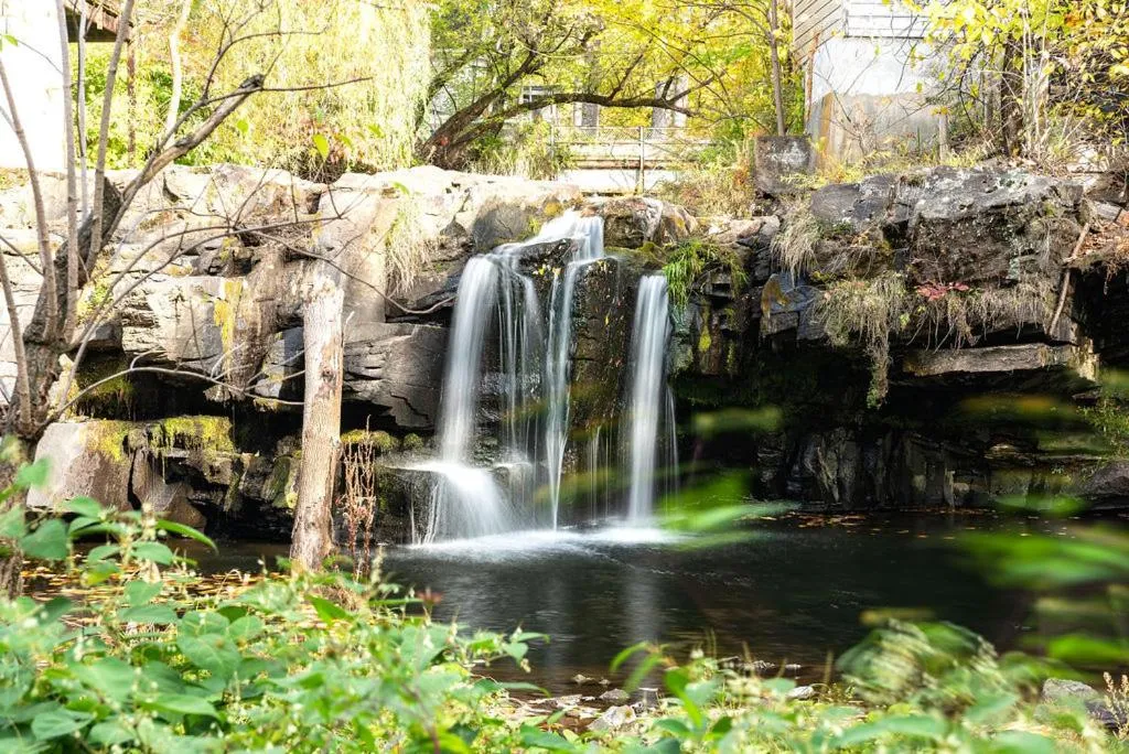 Natural landscape in Woodstock Way Hotel