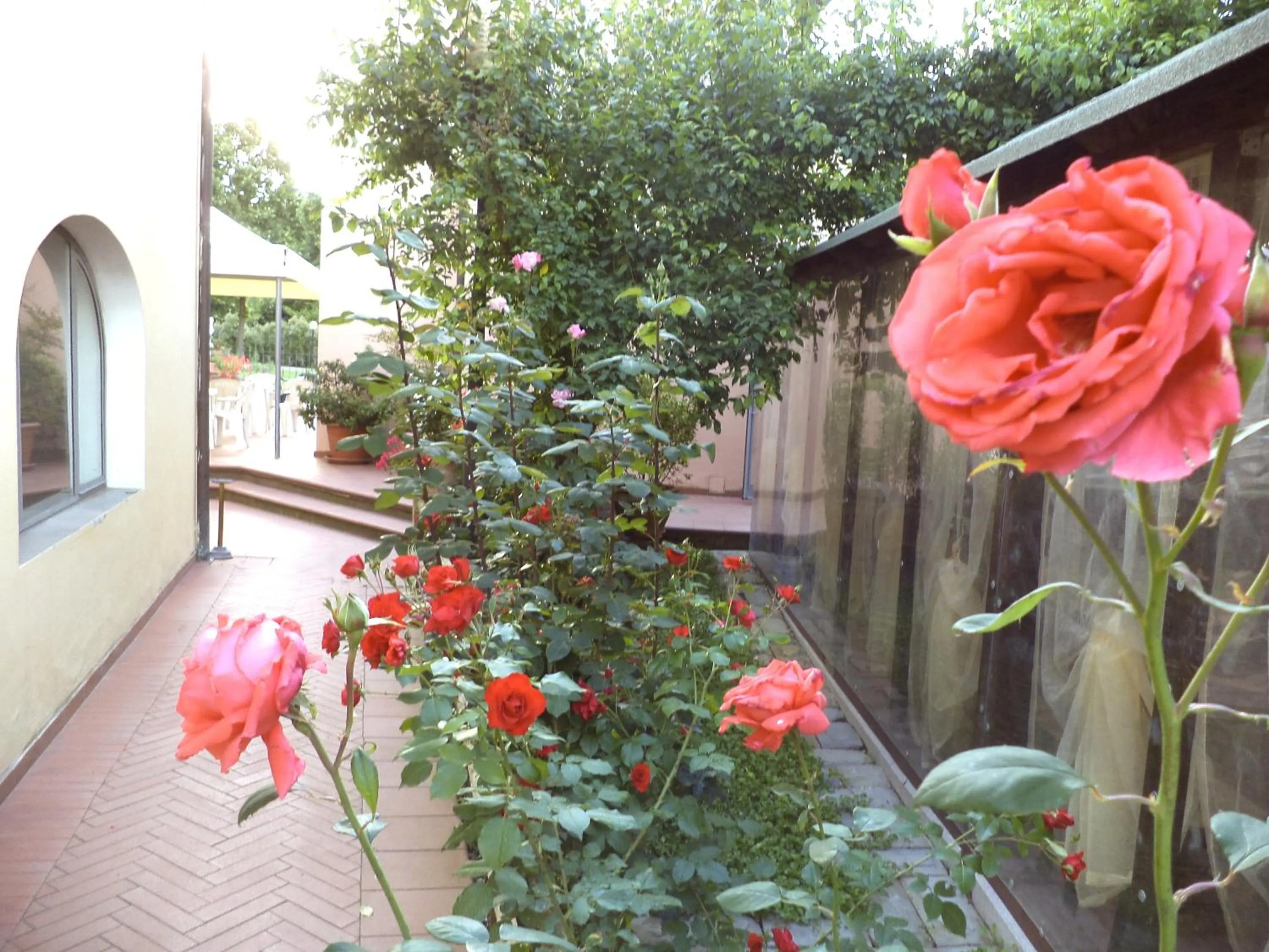 Day in Il Molino Del Ponte