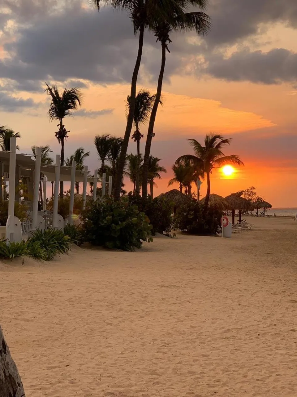 Beach in Villa Real Playa Nueva Romana