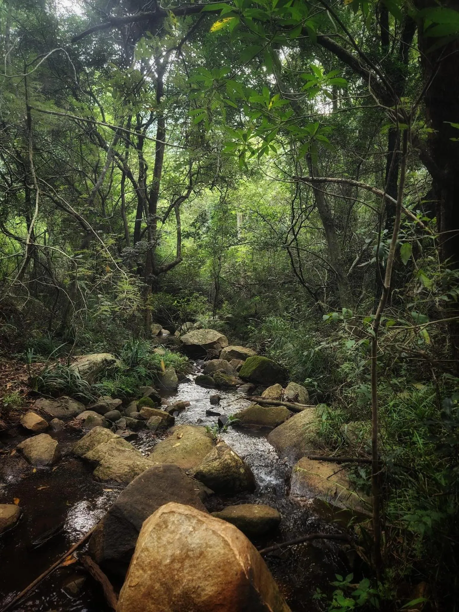 Hiking in Rocky Drift Private Nature Reserve