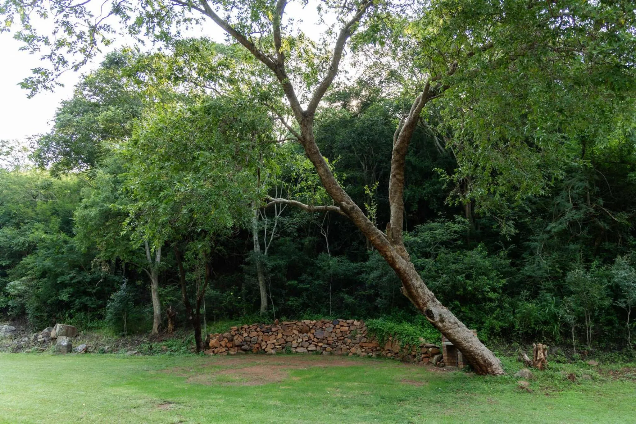 Natural landscape in Rocky Drift Private Nature Reserve