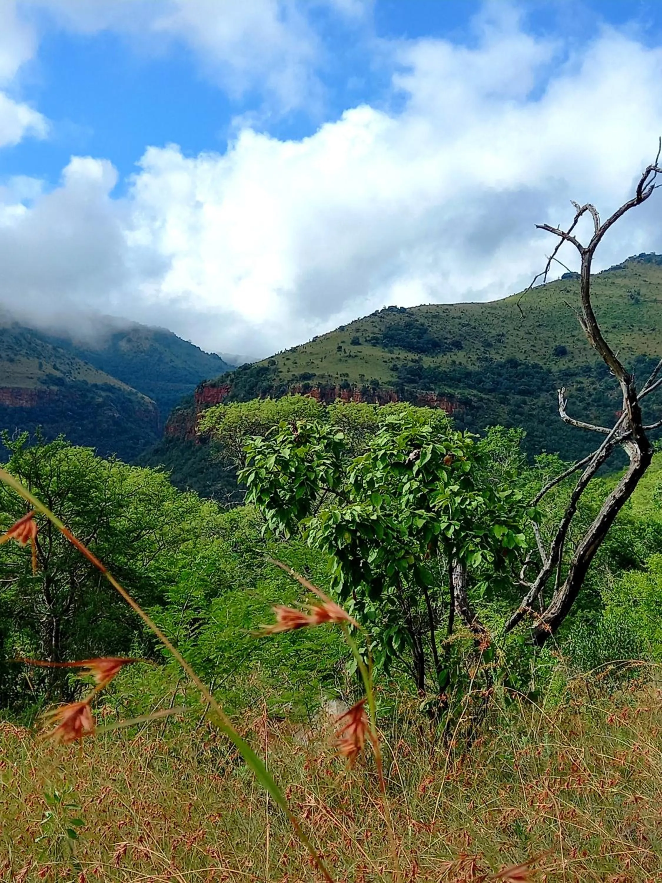 Natural landscape in Rocky Drift Private Nature Reserve