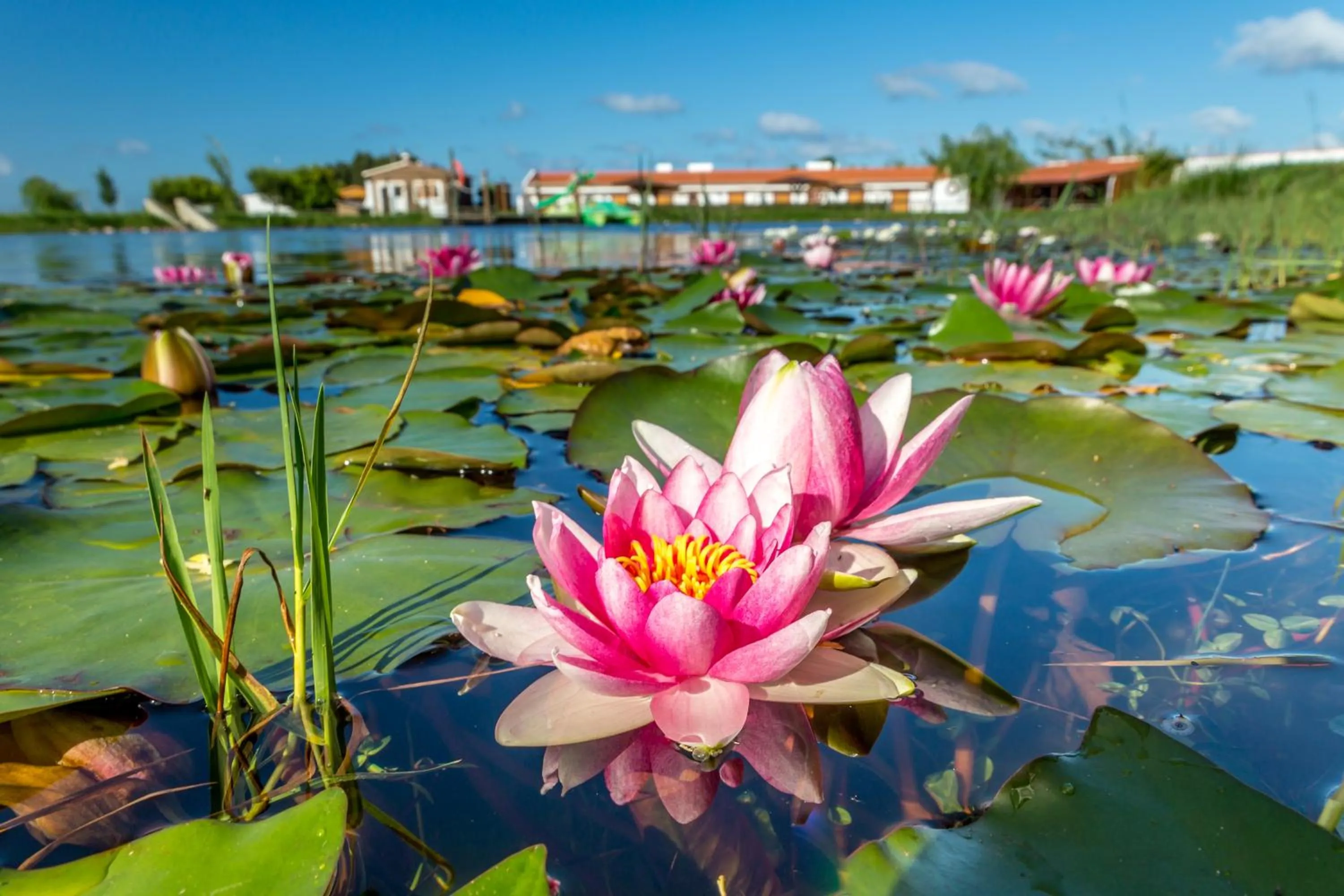 Lake view in Monte do Zeca
