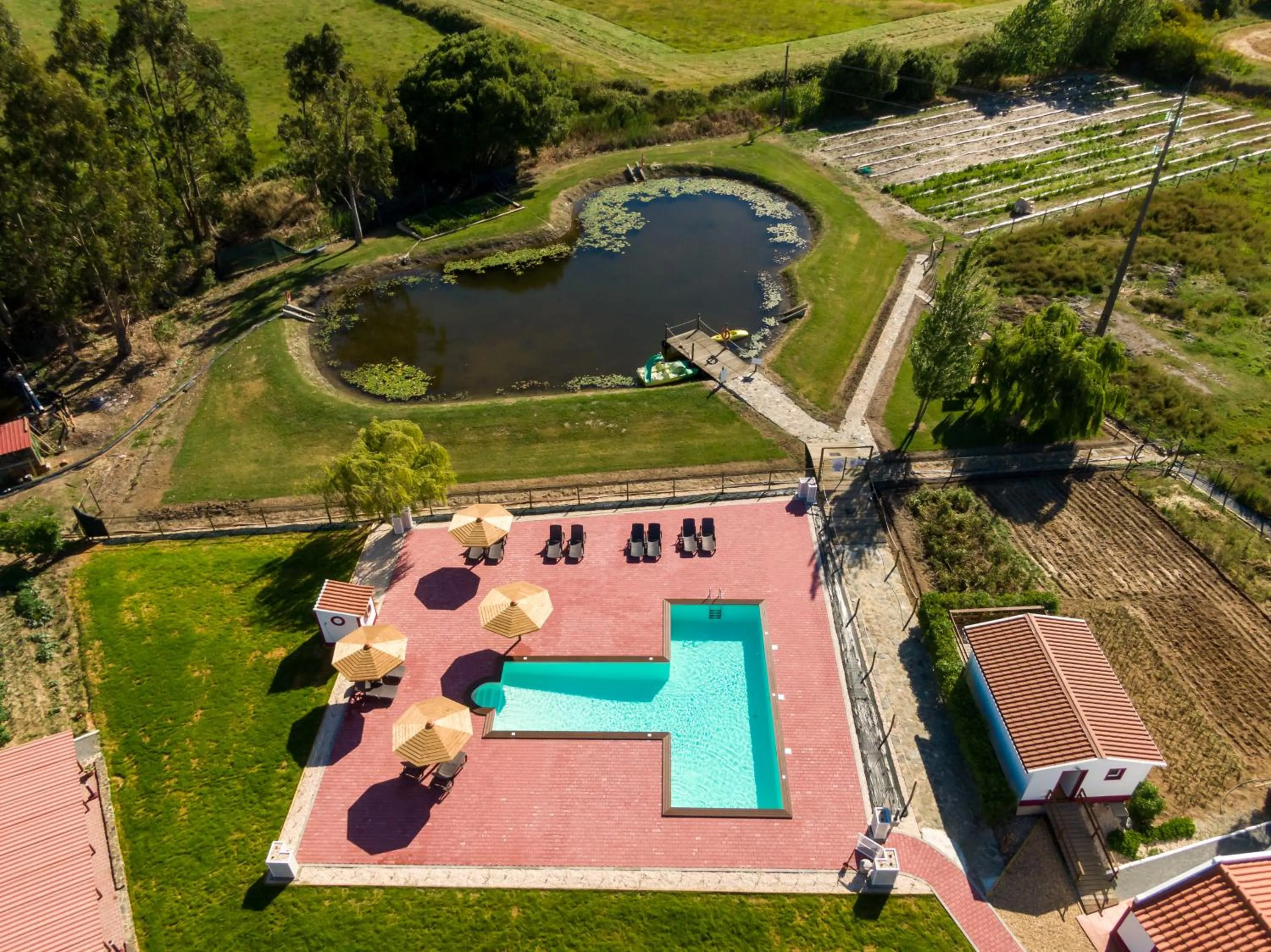 Bird's eye view in Monte do Zeca