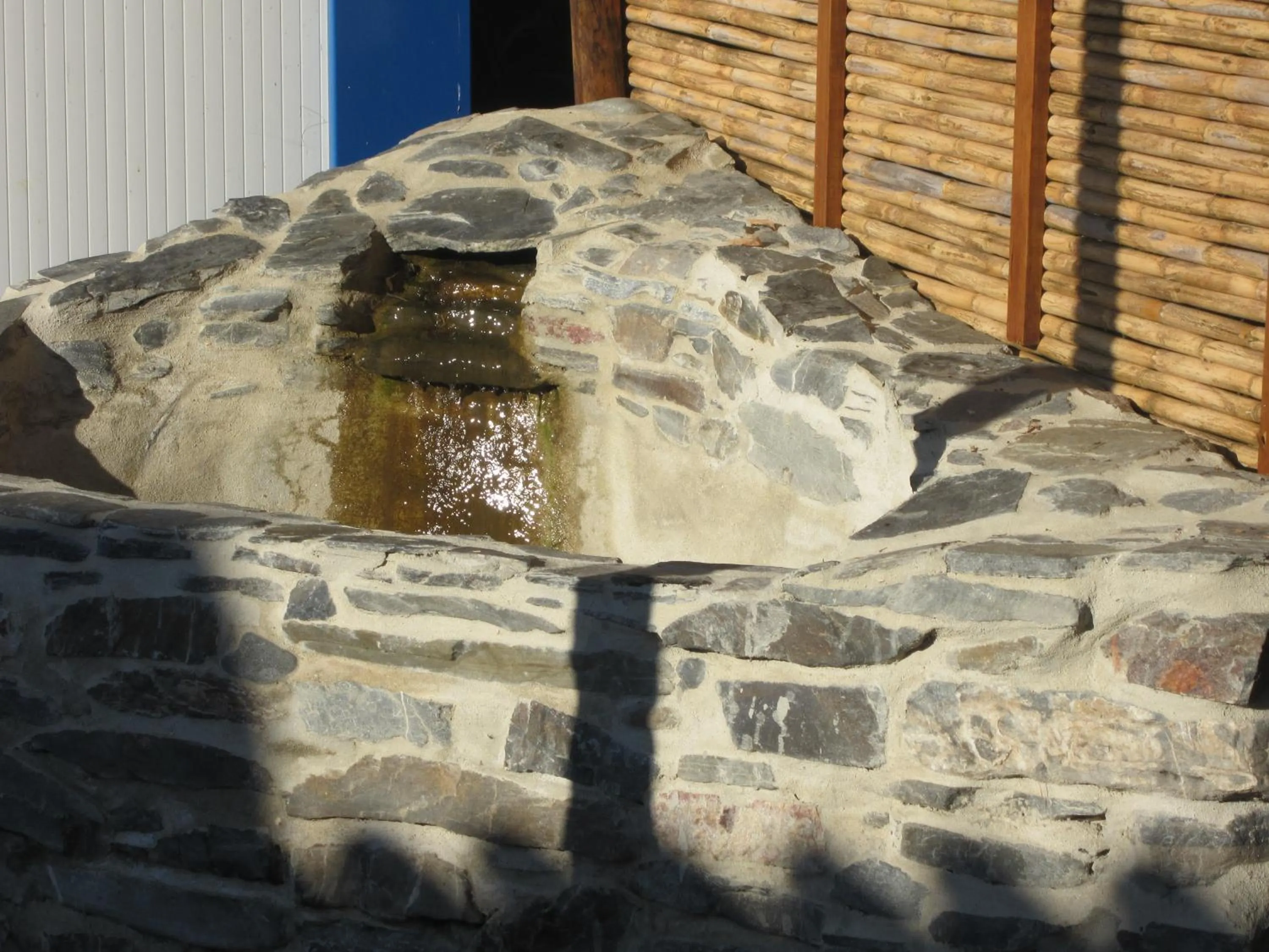 Animals in Monte do Zeca