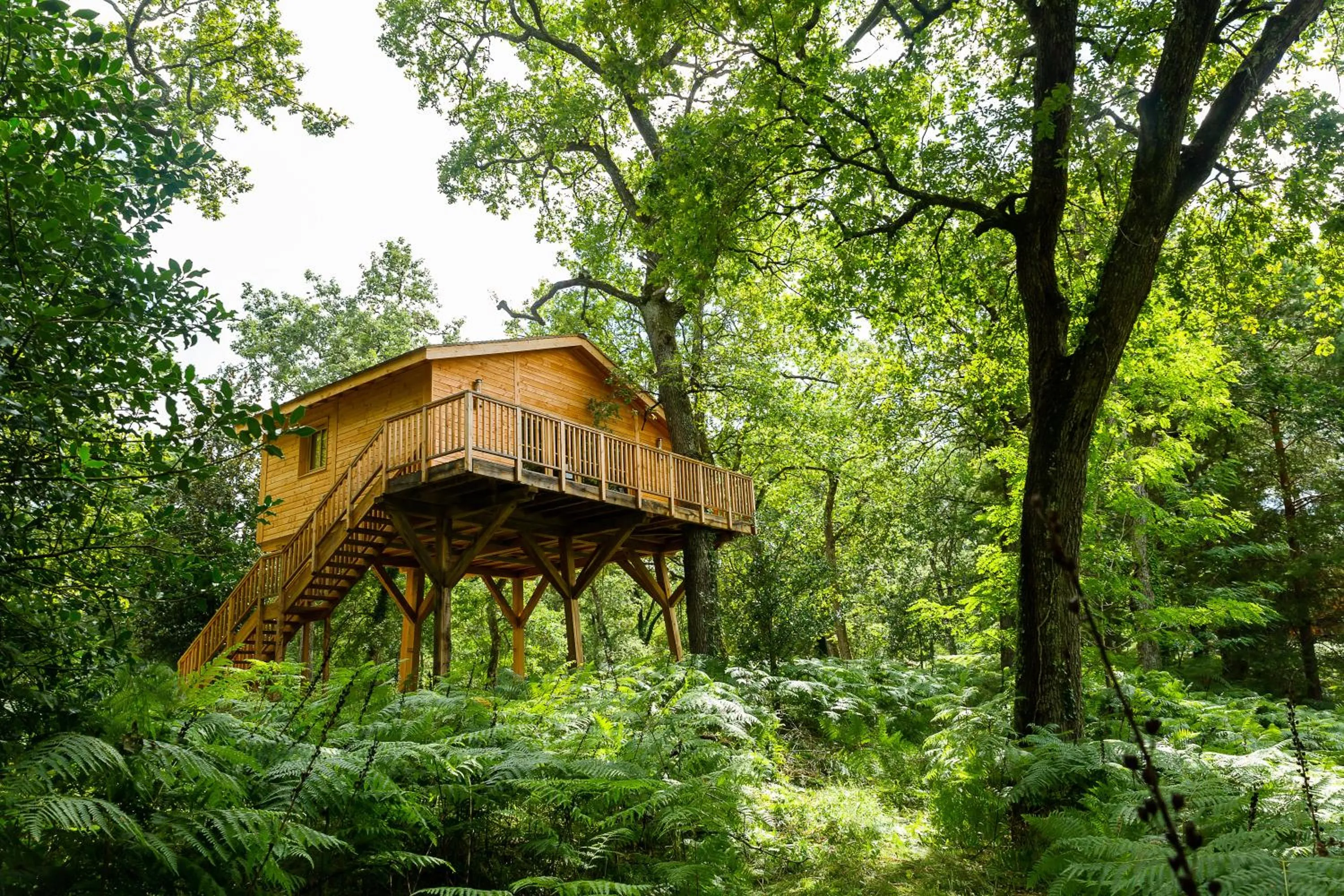Garden view in Château Léognan, Domaine viticole - proche Bordeaux