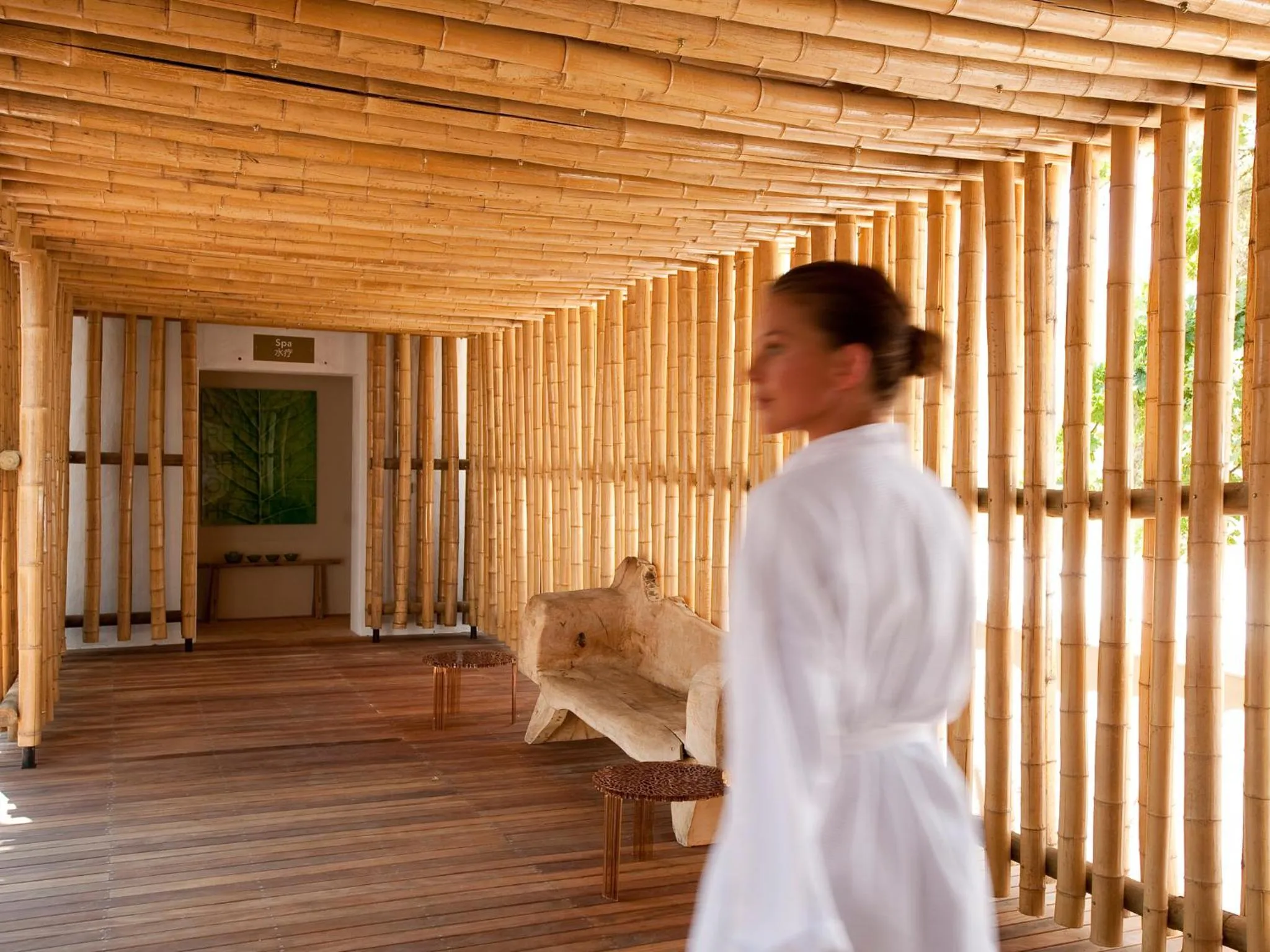 Area and facilities in Babylonstoren