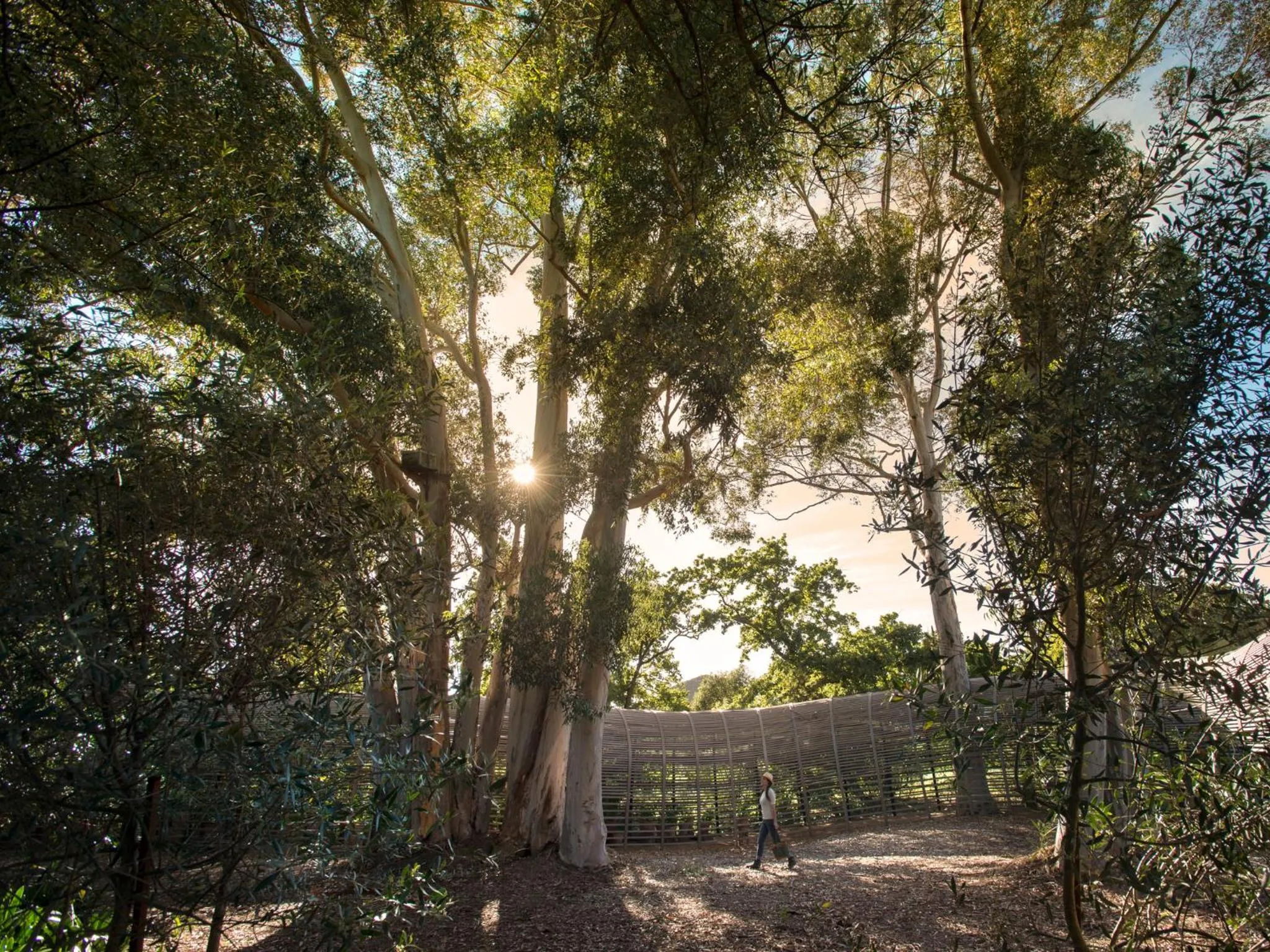 Hiking in Babylonstoren