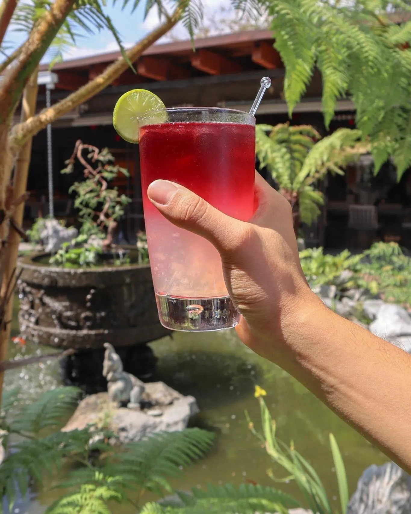 Restaurant/places to eat in Hosteria Las Quintas Hotel Restaurante Bar