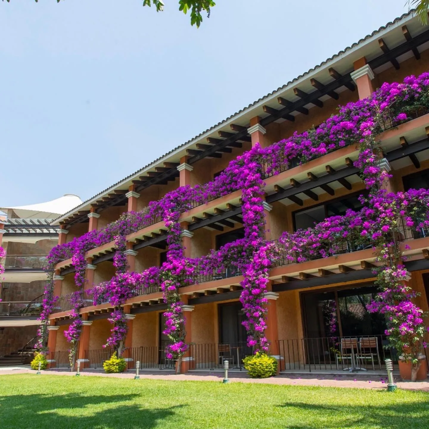 Garden view in Hosteria Las Quintas Hotel Restaurante Bar