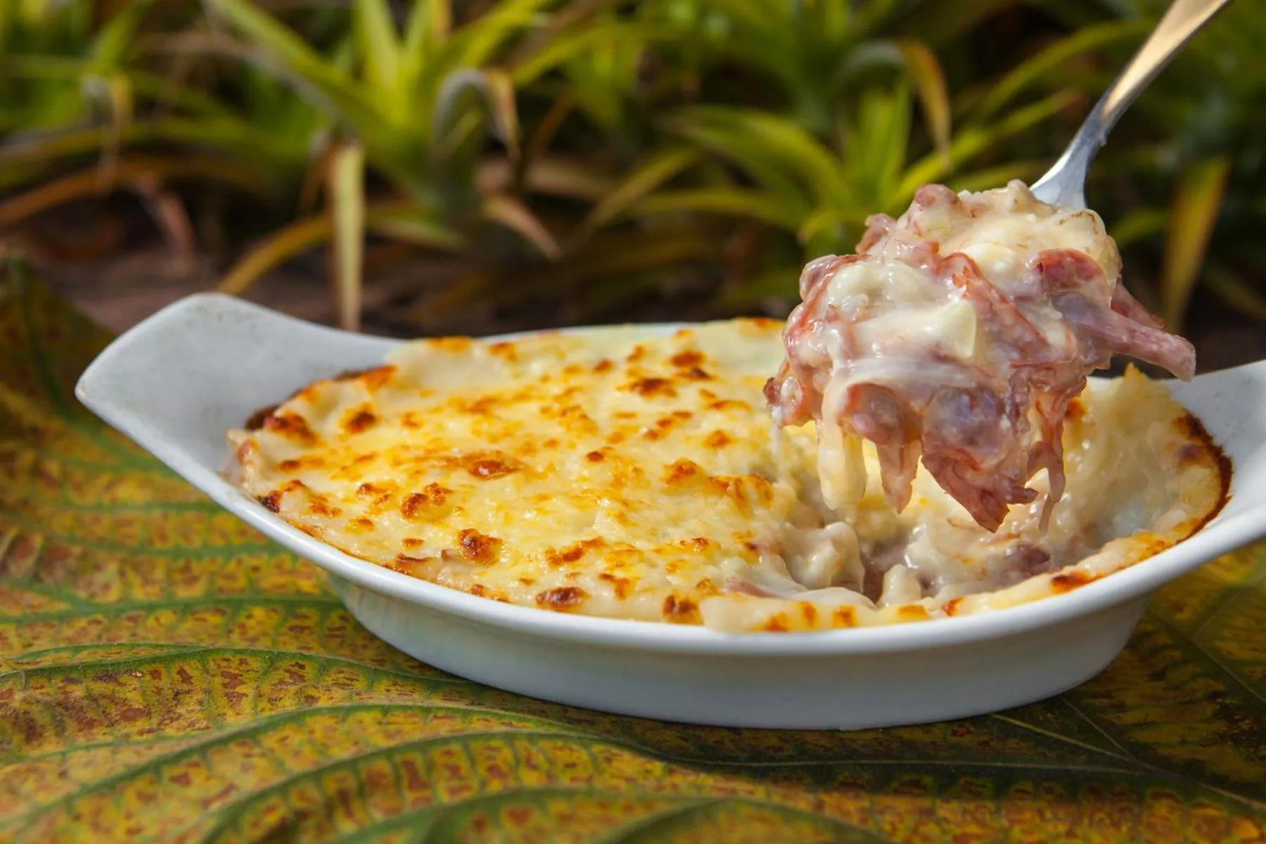 Restaurant/places to eat in Hotel de Lençois