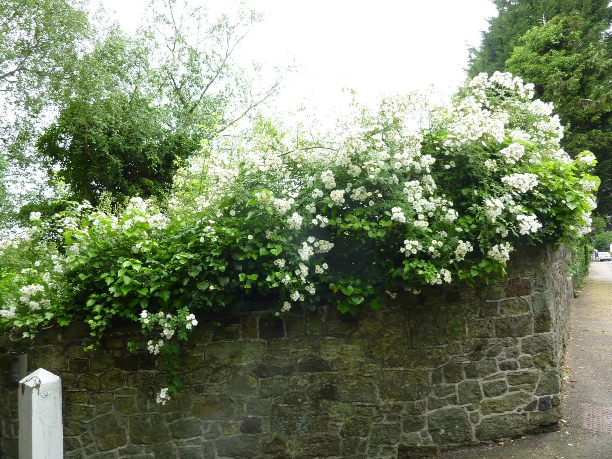Spring in Chequers Hotel