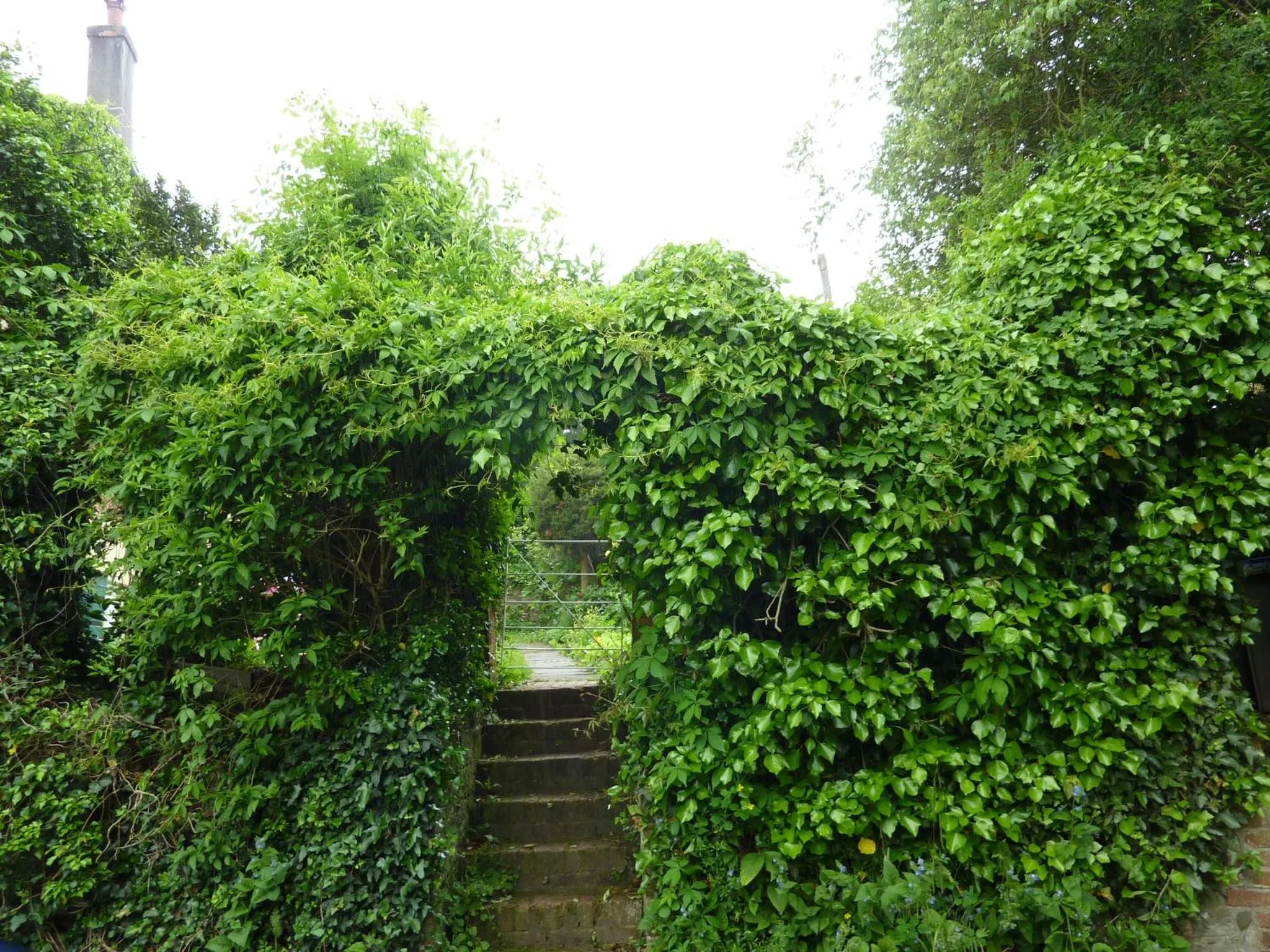 Day in Chequers Hotel