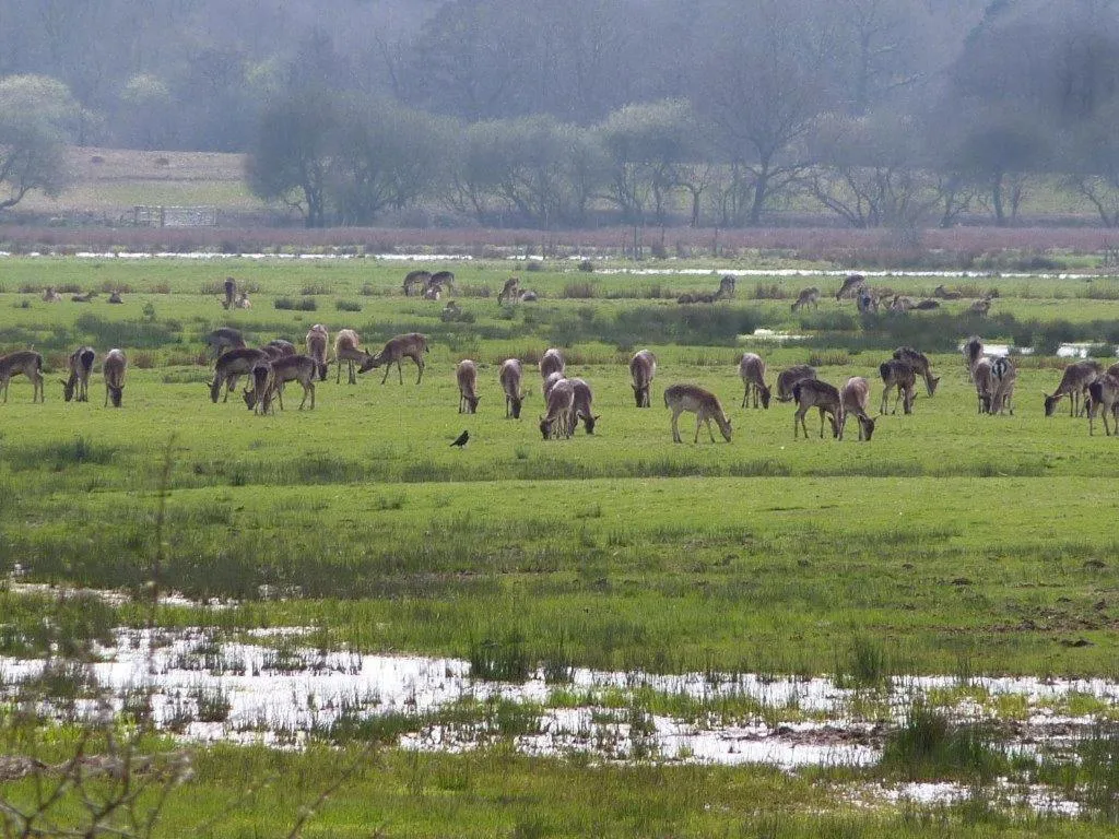 Day in Chequers Hotel