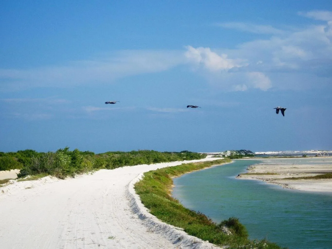 Natural landscape in Hacienda Antigua Villa, 50m from sandy Beach
