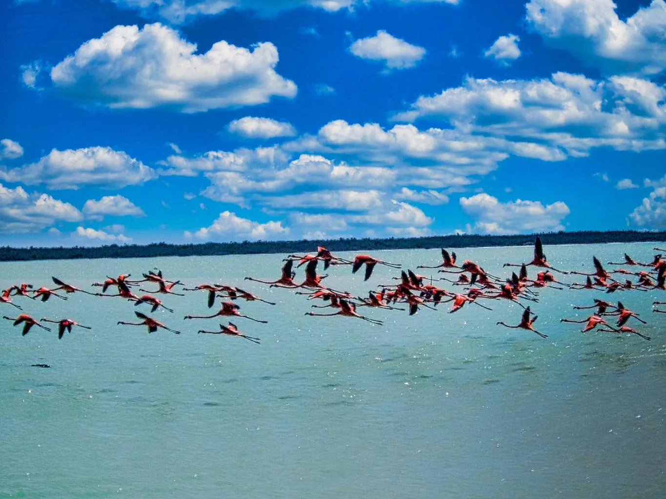 Hacienda Antigua Villa, 50m from sandy Beach