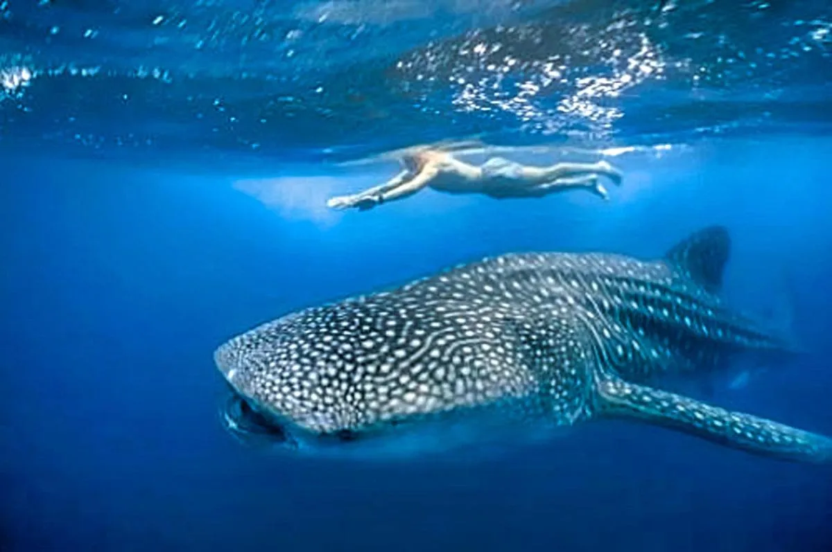 Hacienda Antigua Villa, 50m from sandy Beach