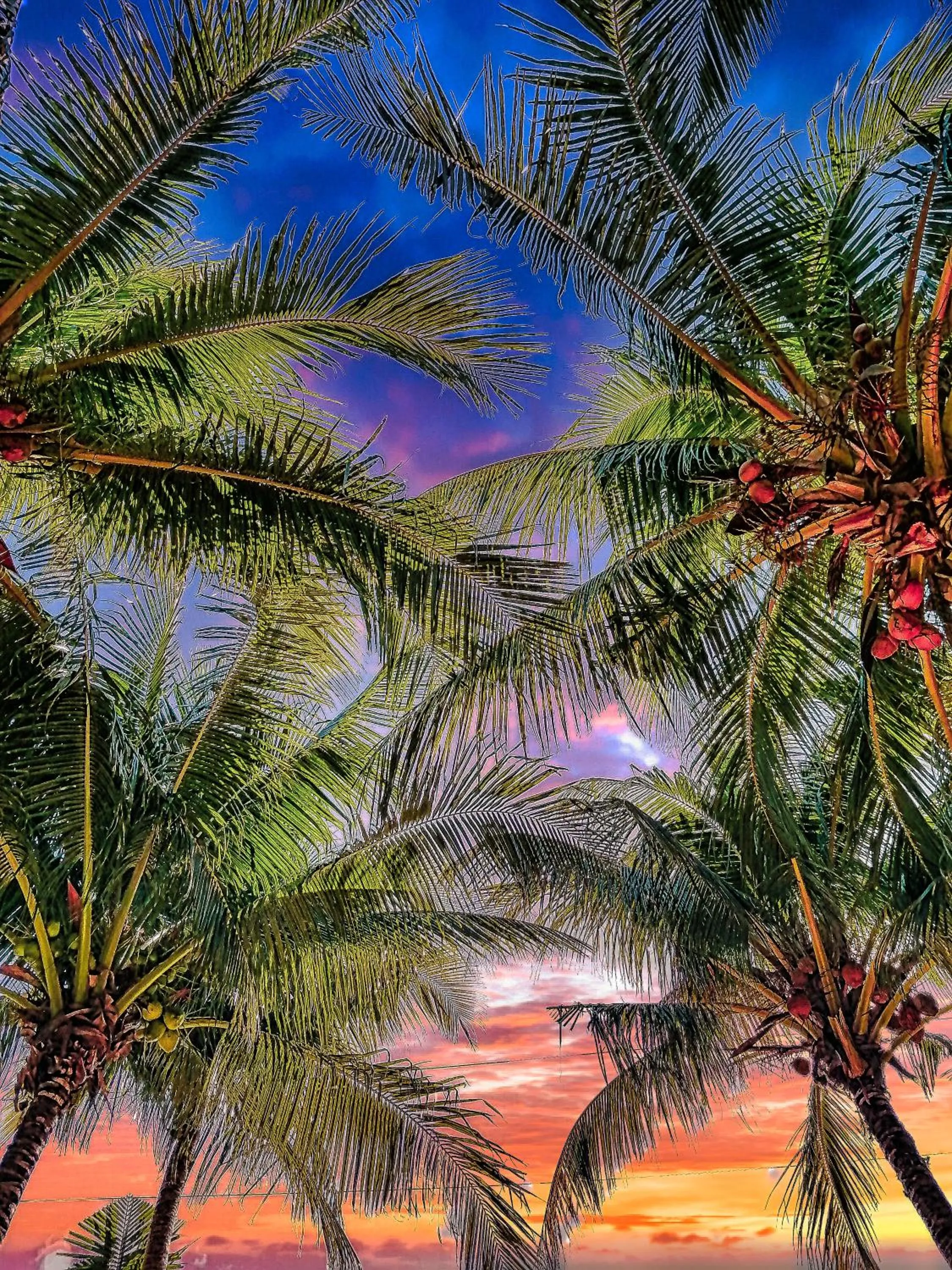 Hacienda Antigua Villa, 50m from sandy Beach