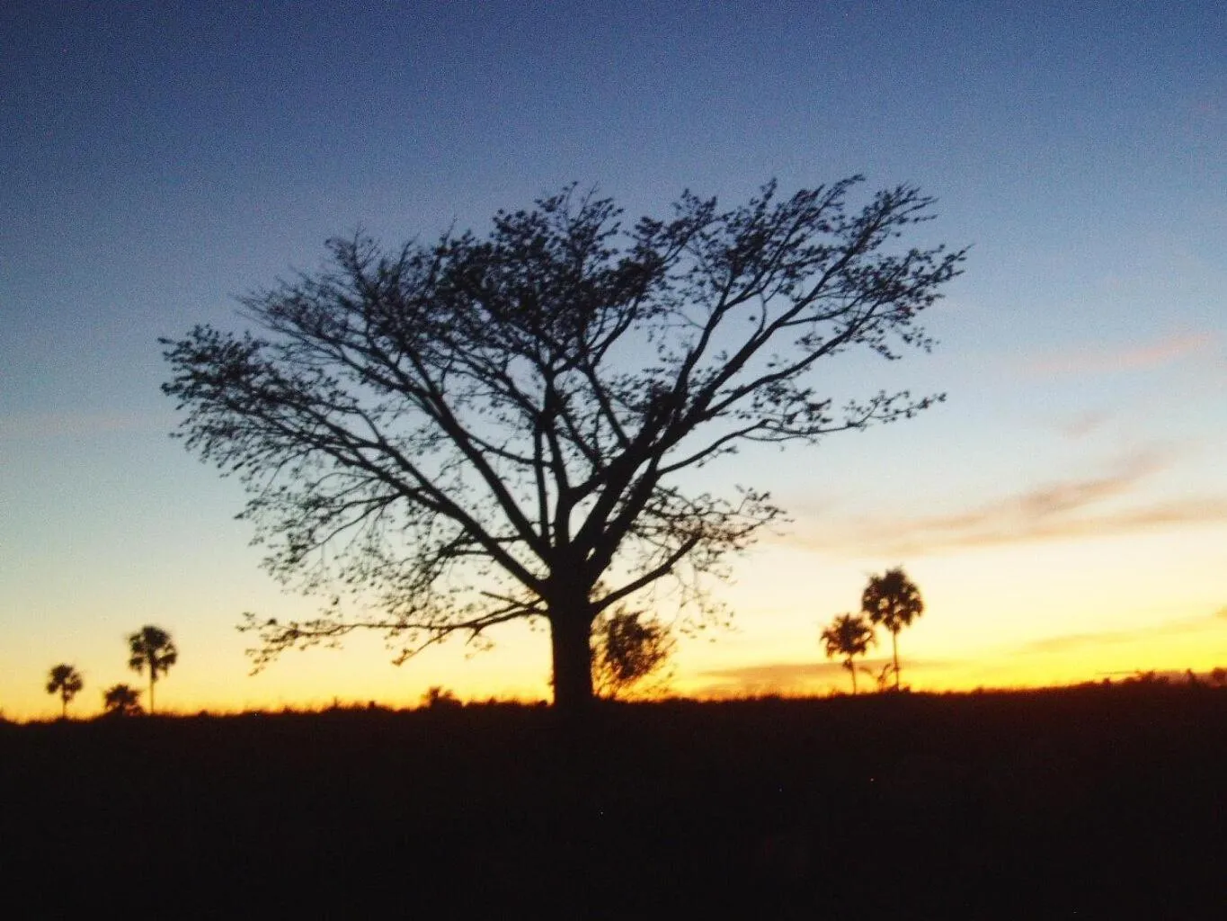 Natural landscape in Hacienda Antigua Villa, 50m from sandy Beach