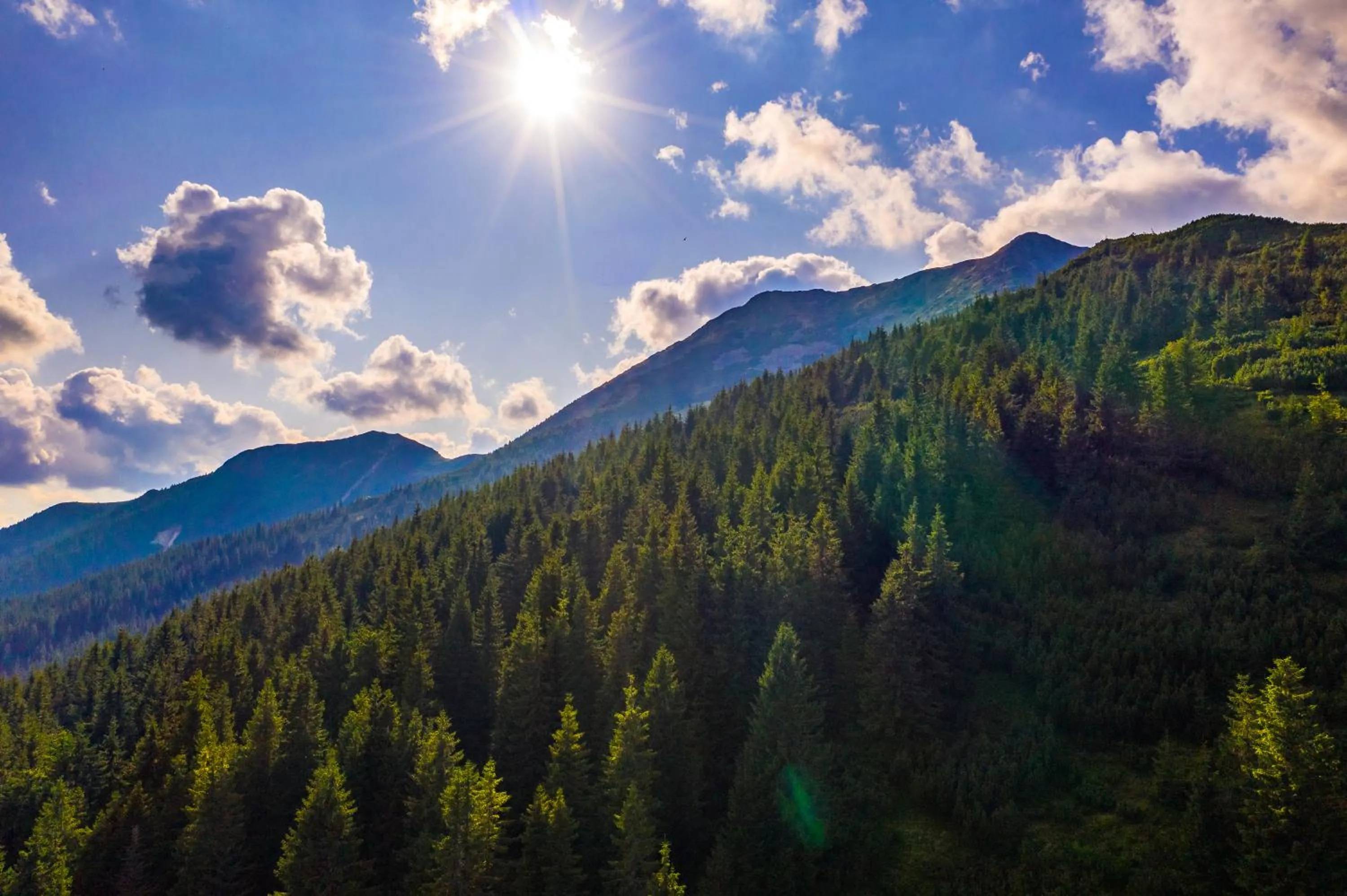 Summer in Hotel Dorna