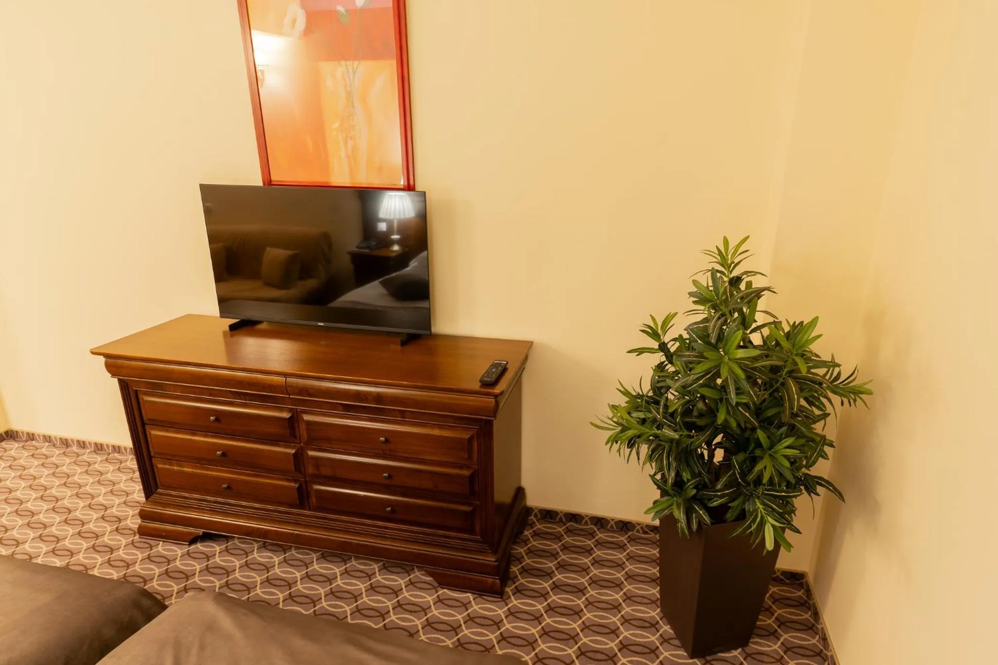 TV and multimedia in Hotel Dorna