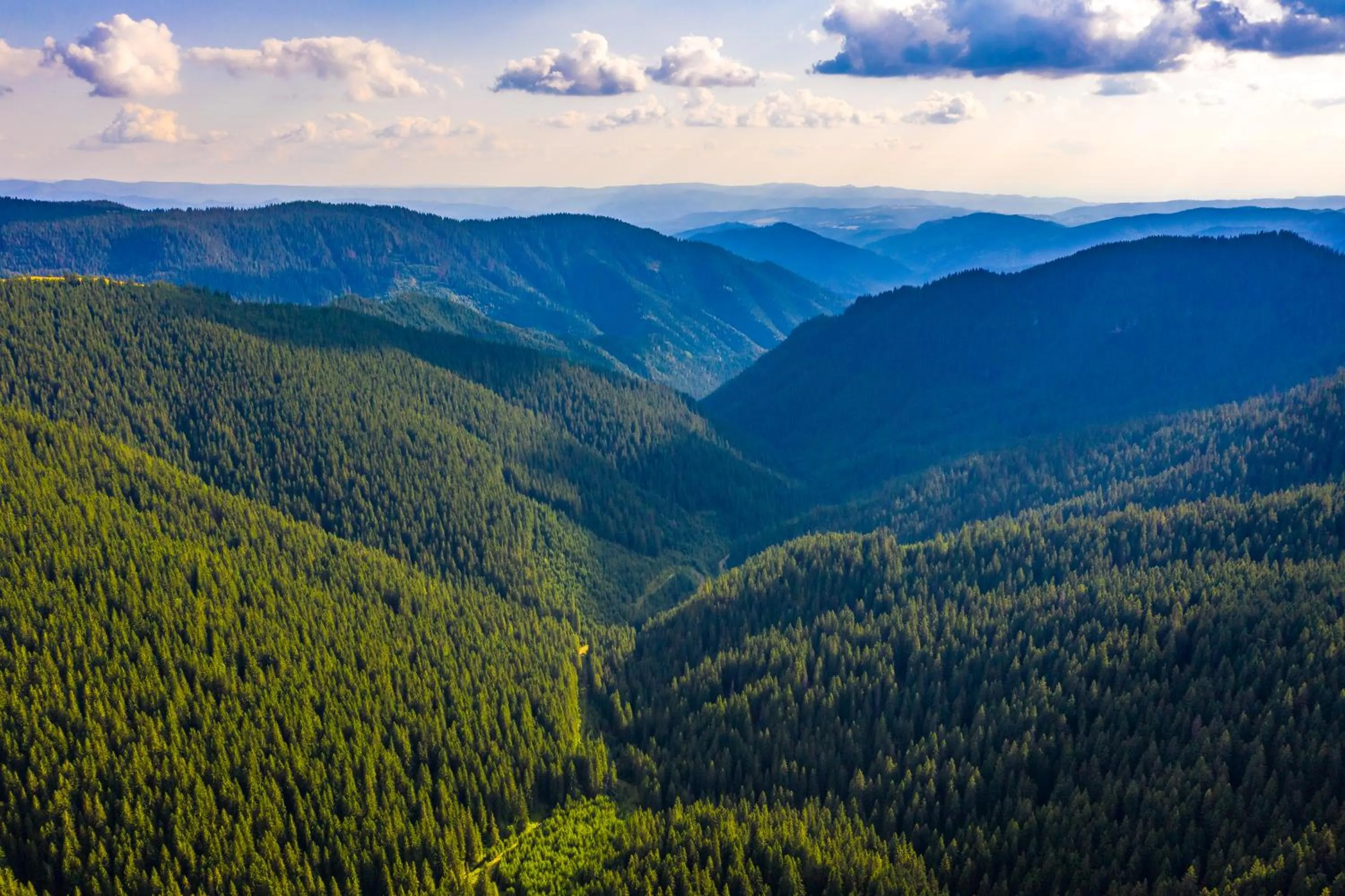 Natural landscape in Hotel Dorna